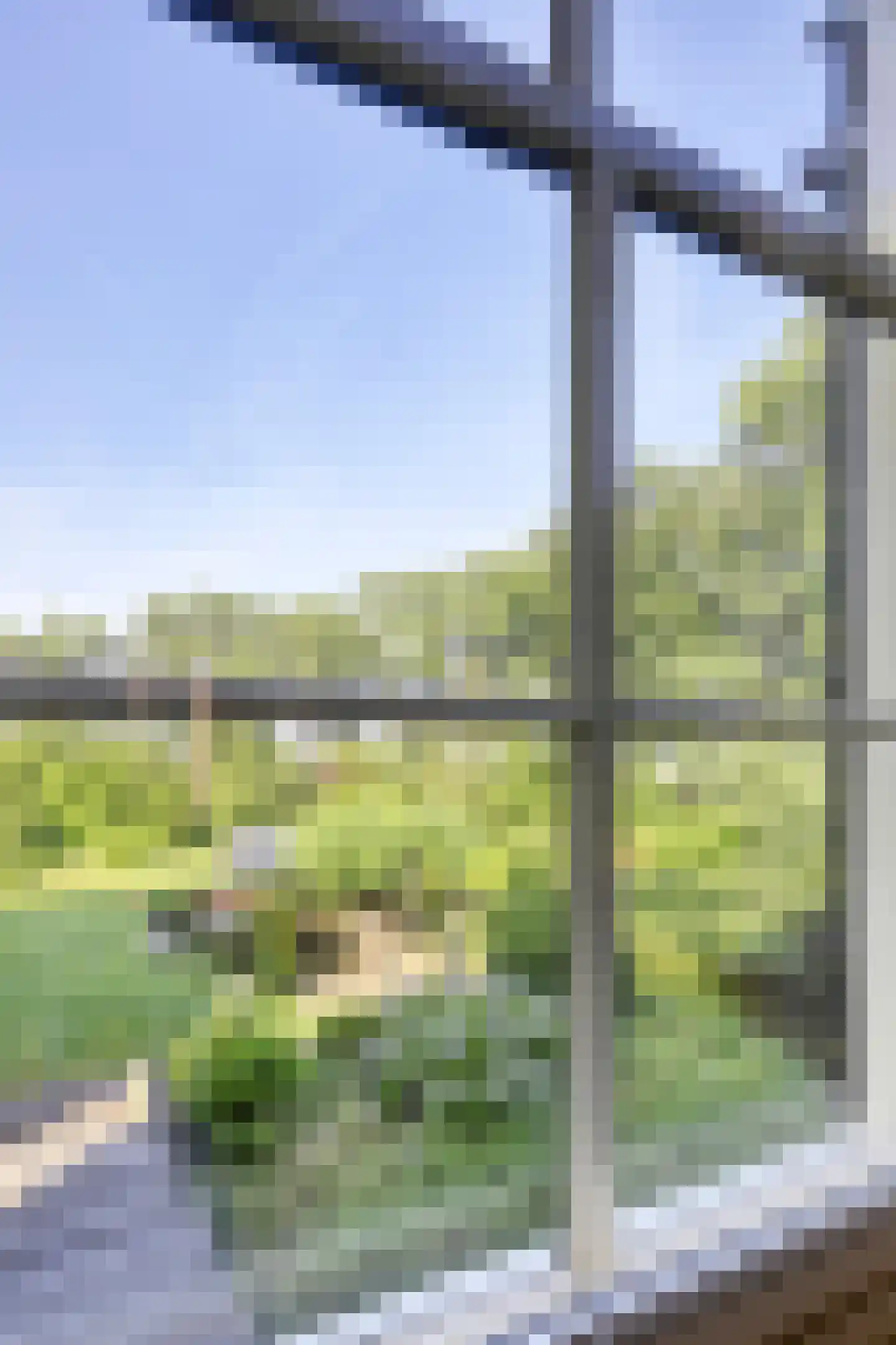 Vinkwijk 4 Zeddam thumbnail 13