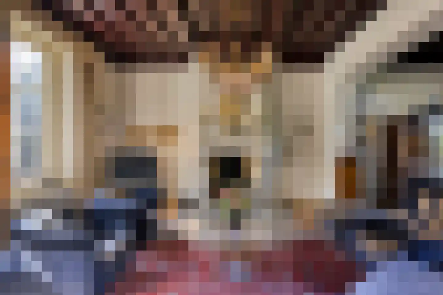 Vinkwijk 4 Zeddam thumbnail 15