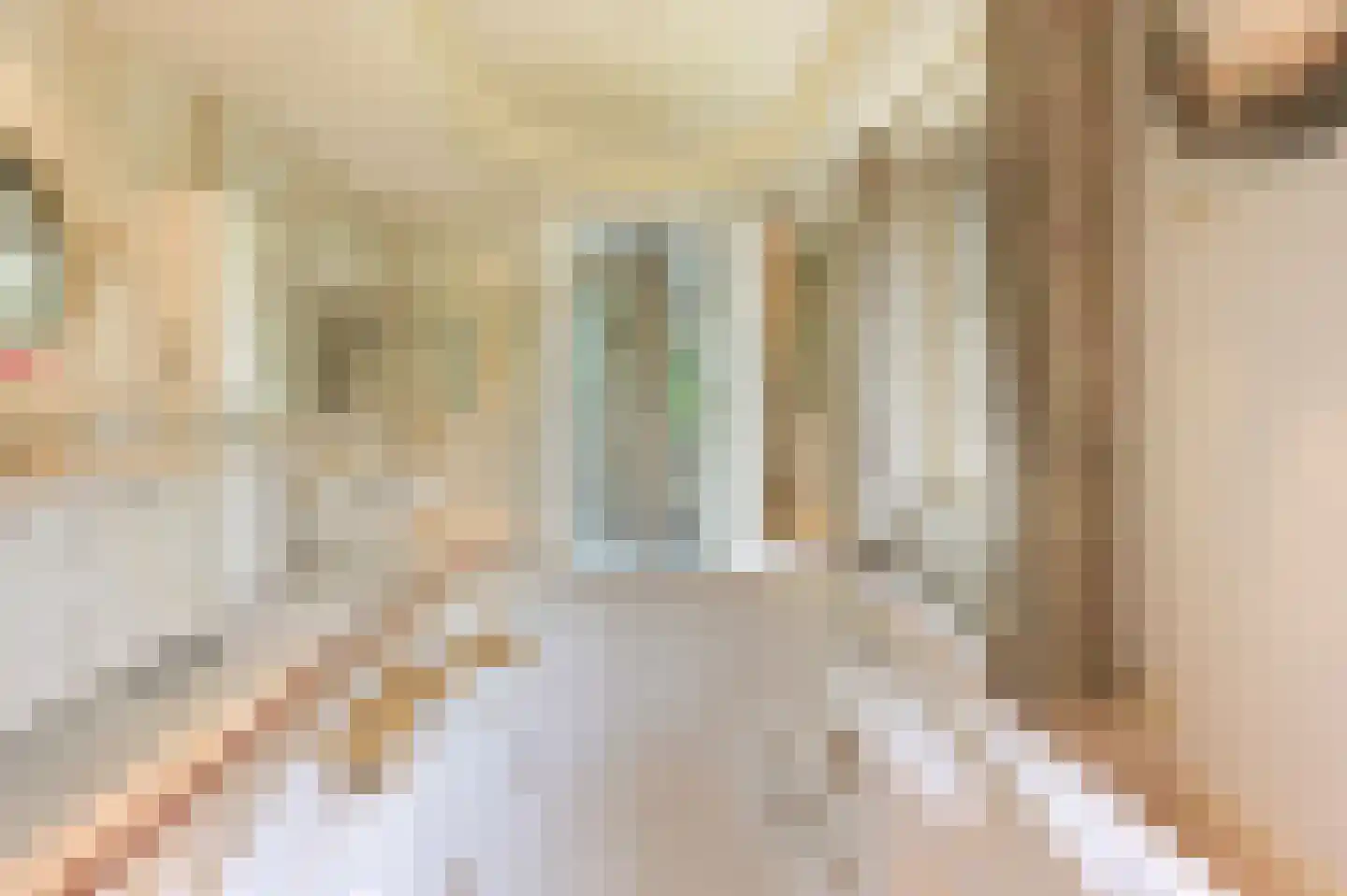 Vinkwijk 4 Zeddam thumbnail 15