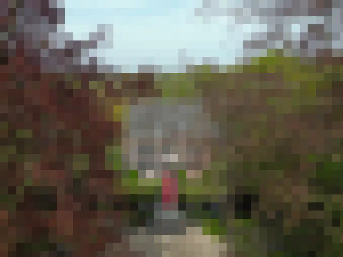 Vinkwijk 4 Zeddam thumbnail 19
