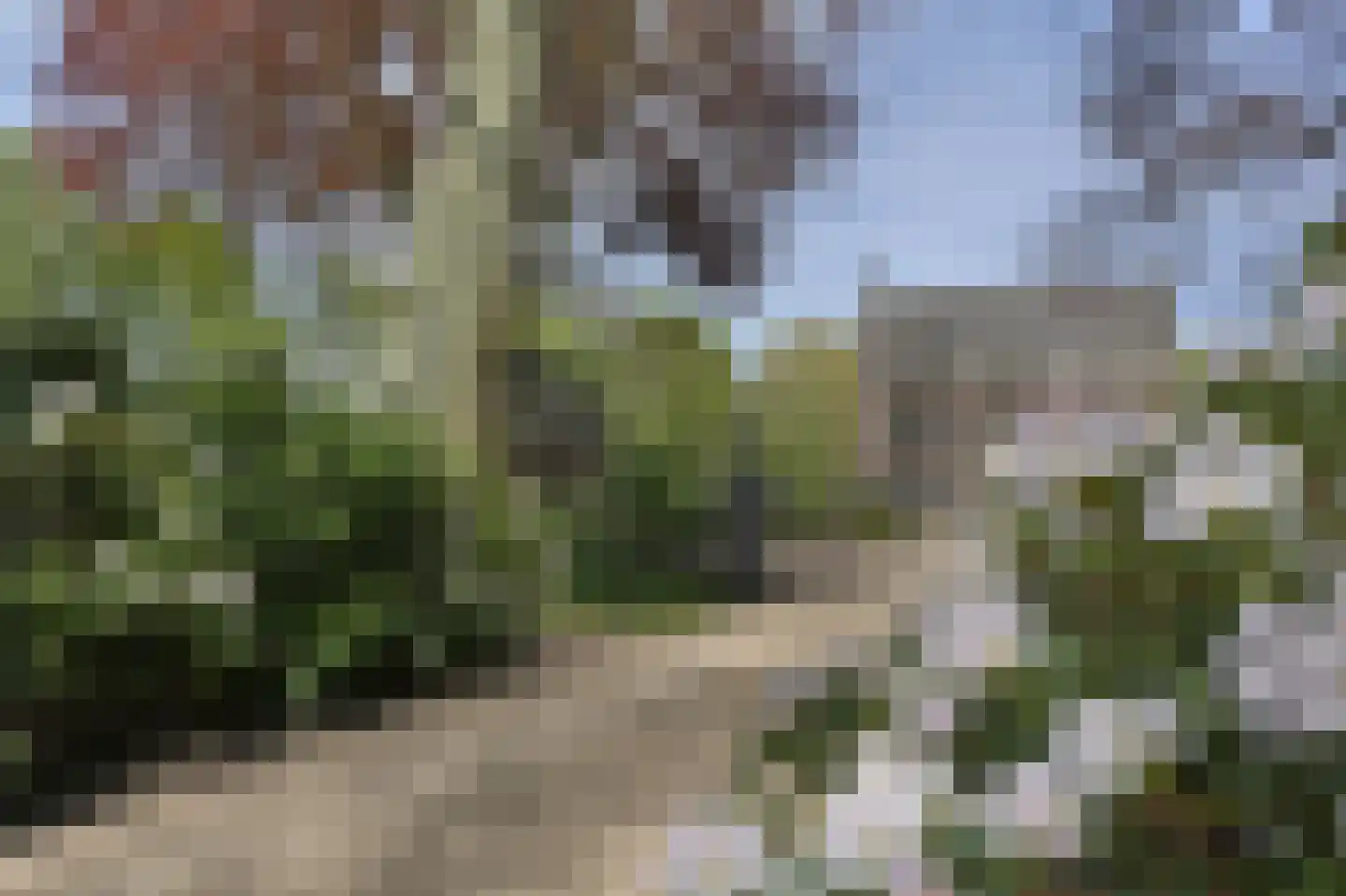 Vinkwijk 4 Zeddam thumbnail 20