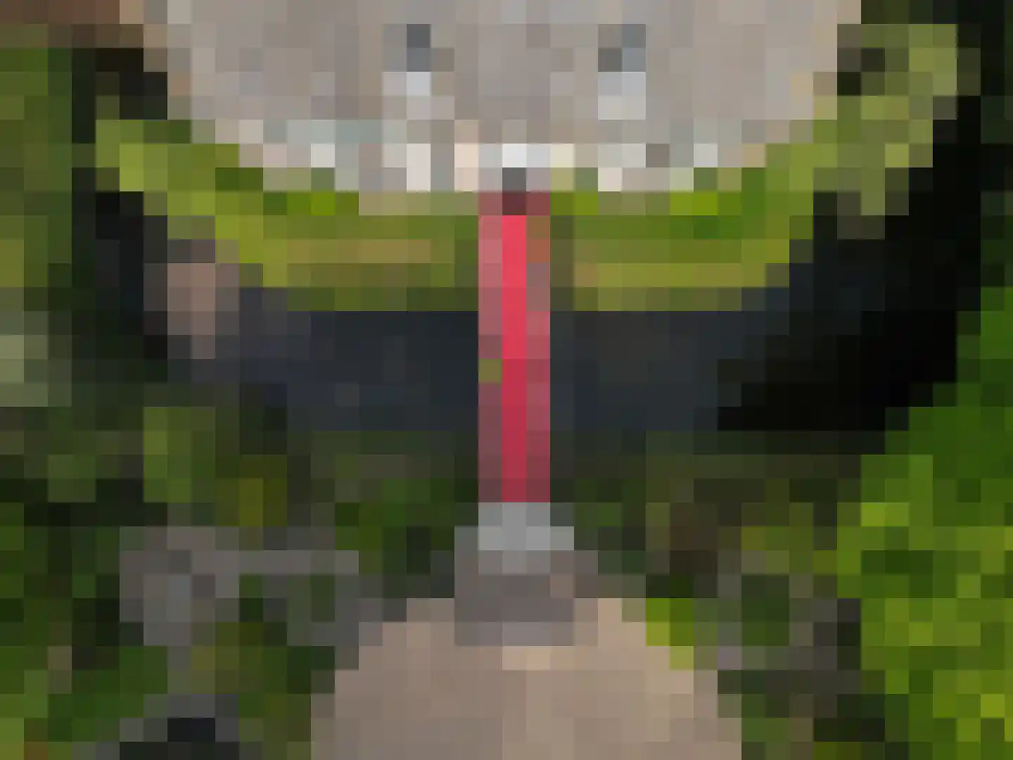 Vinkwijk 4 Zeddam thumbnail 21