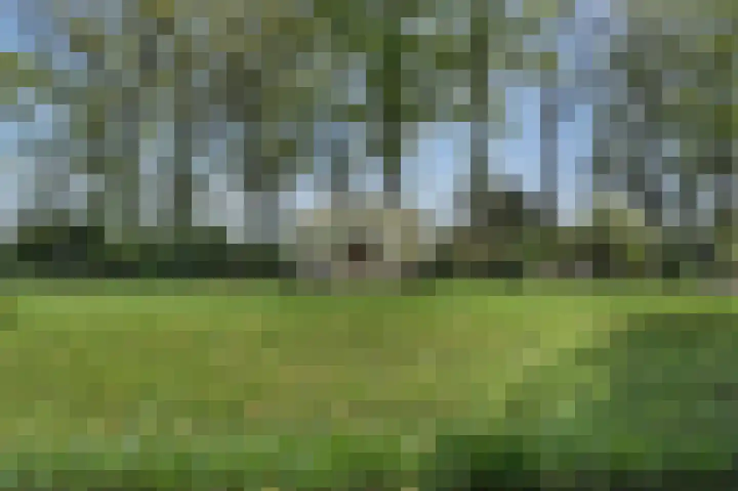 Vinkwijk 4 Zeddam thumbnail 24