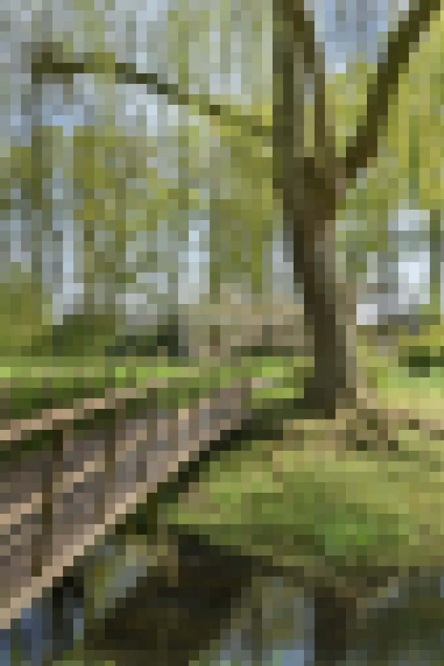 Vinkwijk 4 Zeddam thumbnail 27