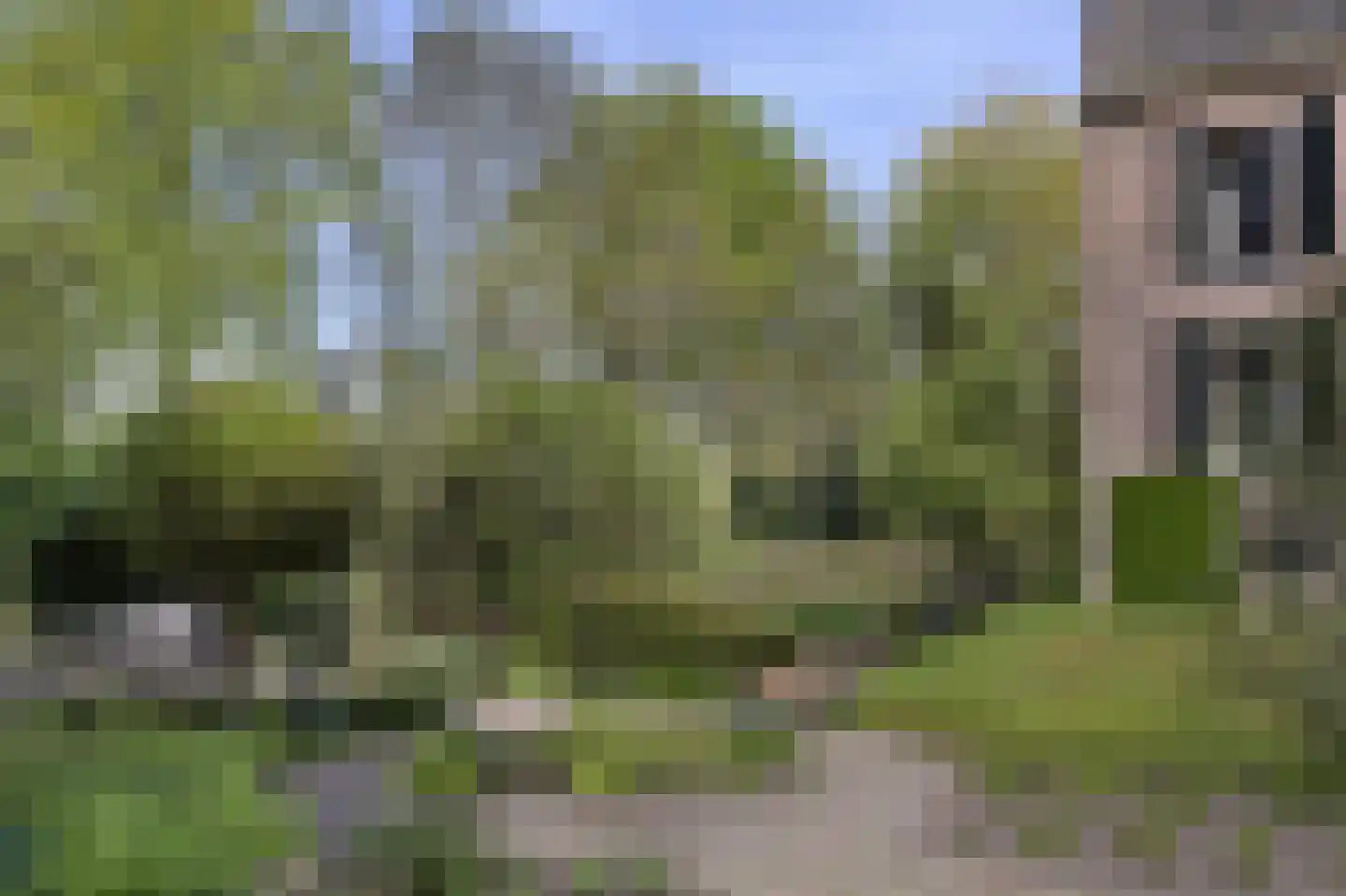 Vinkwijk 4 Zeddam thumbnail 28