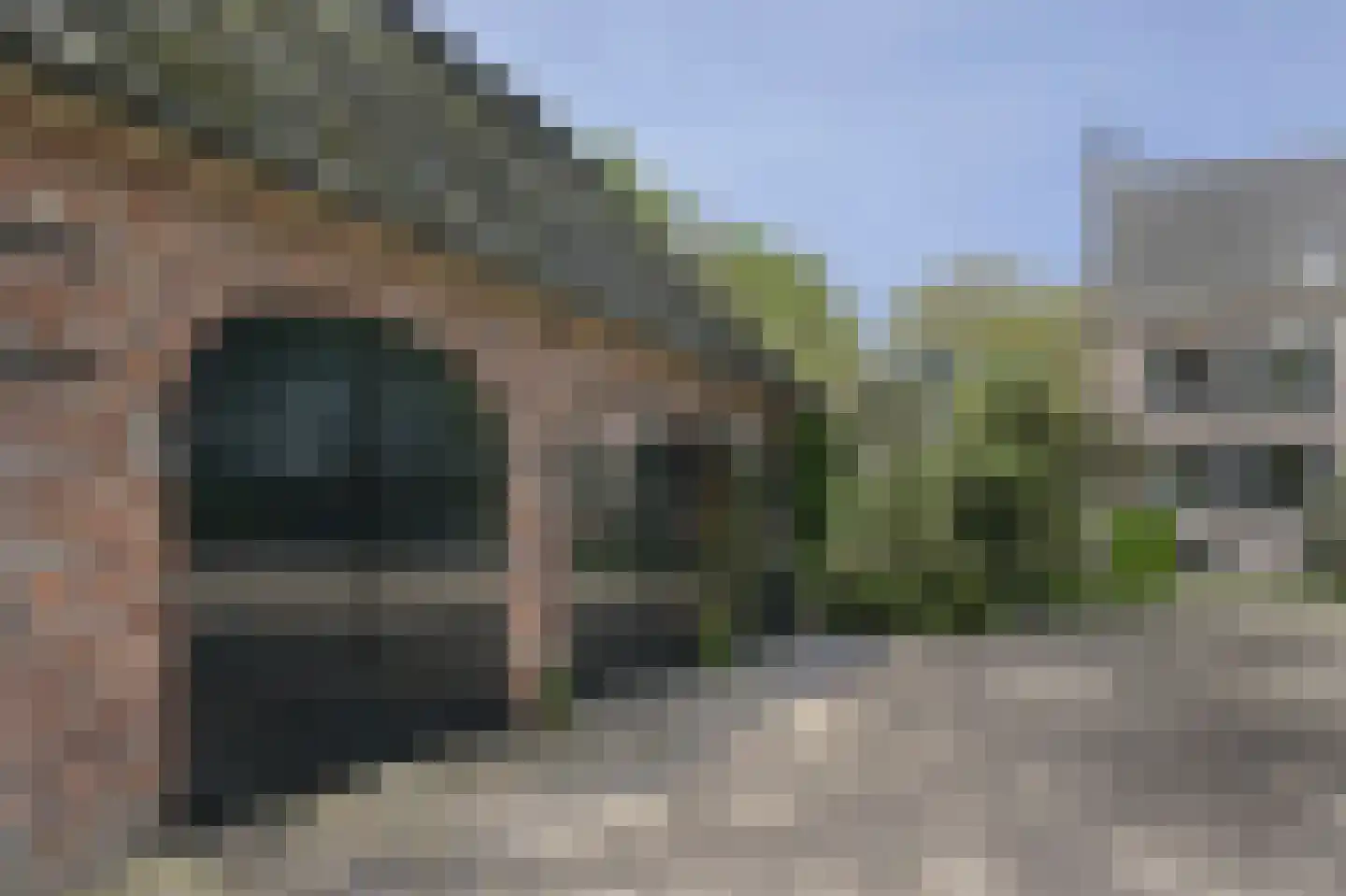 Vinkwijk 4 Zeddam thumbnail 29