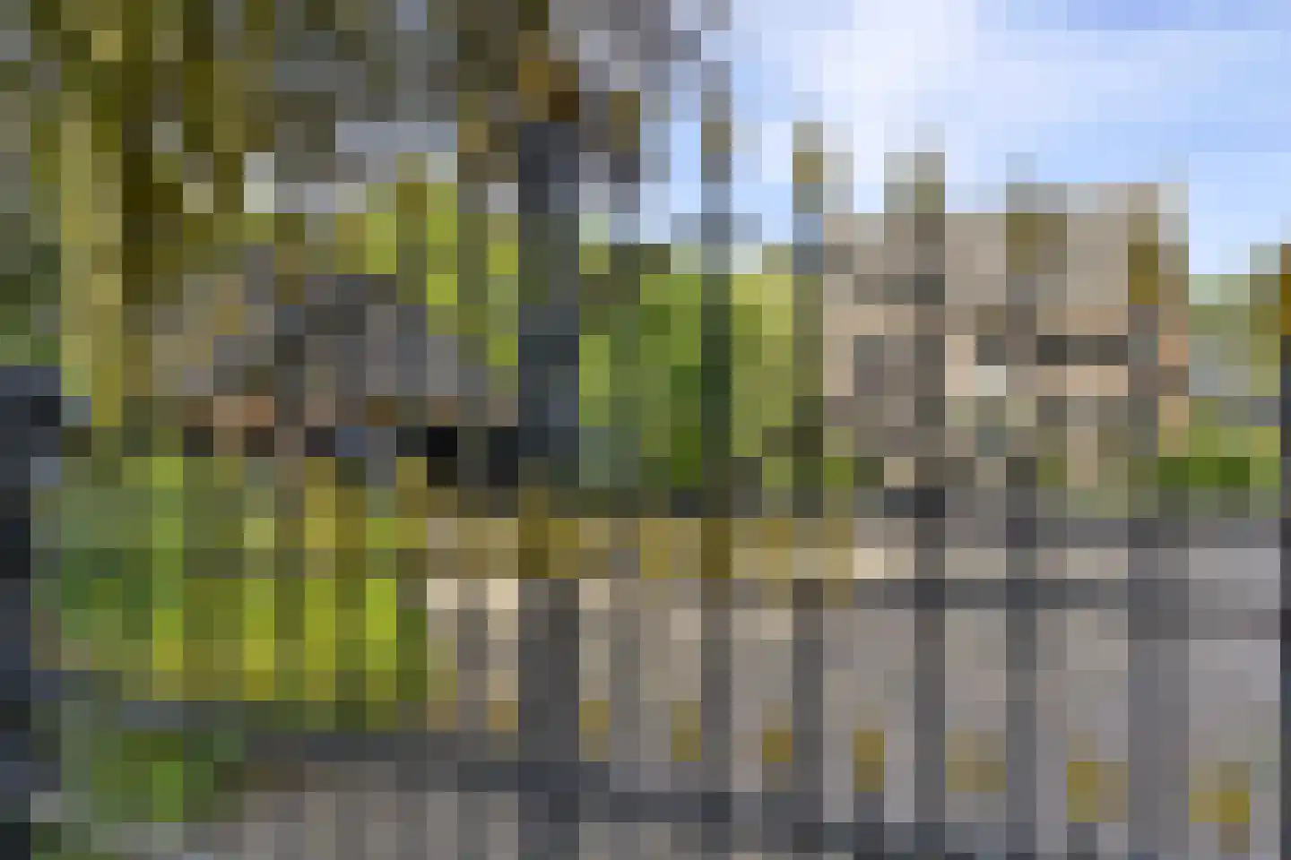 Vinkwijk 4 Zeddam foto 3