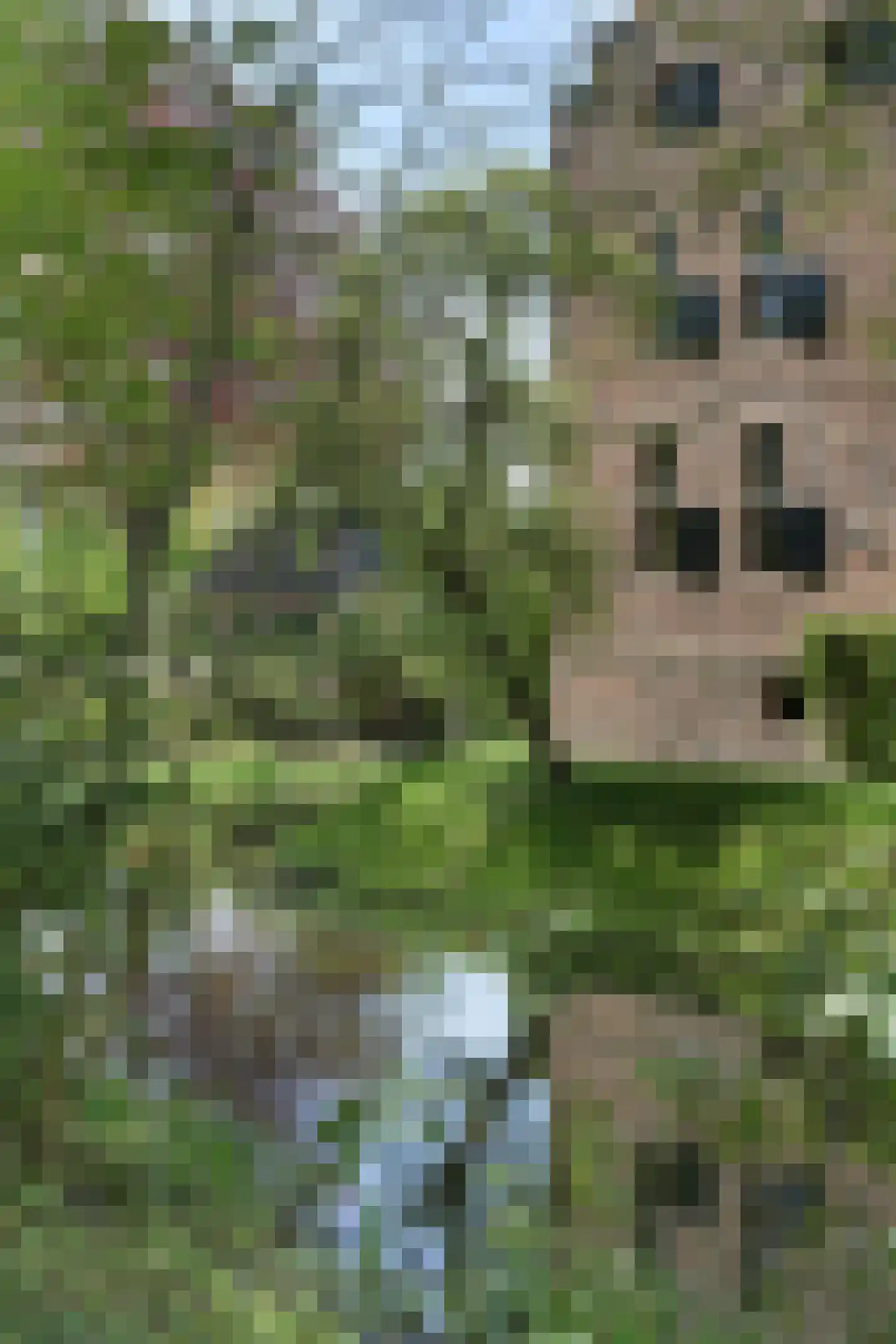 Vinkwijk 4 Zeddam thumbnail 30