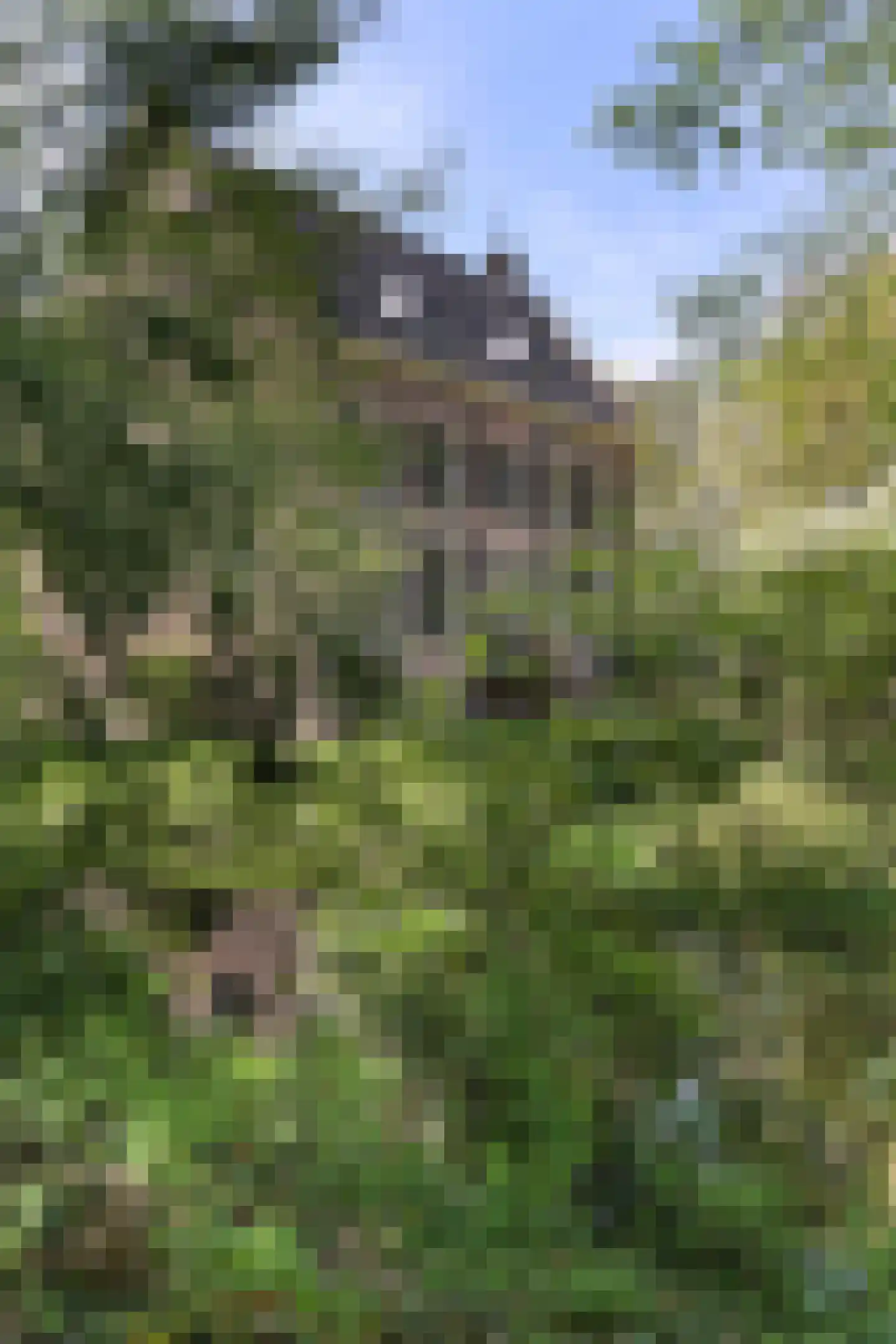 Vinkwijk 4 Zeddam thumbnail 31