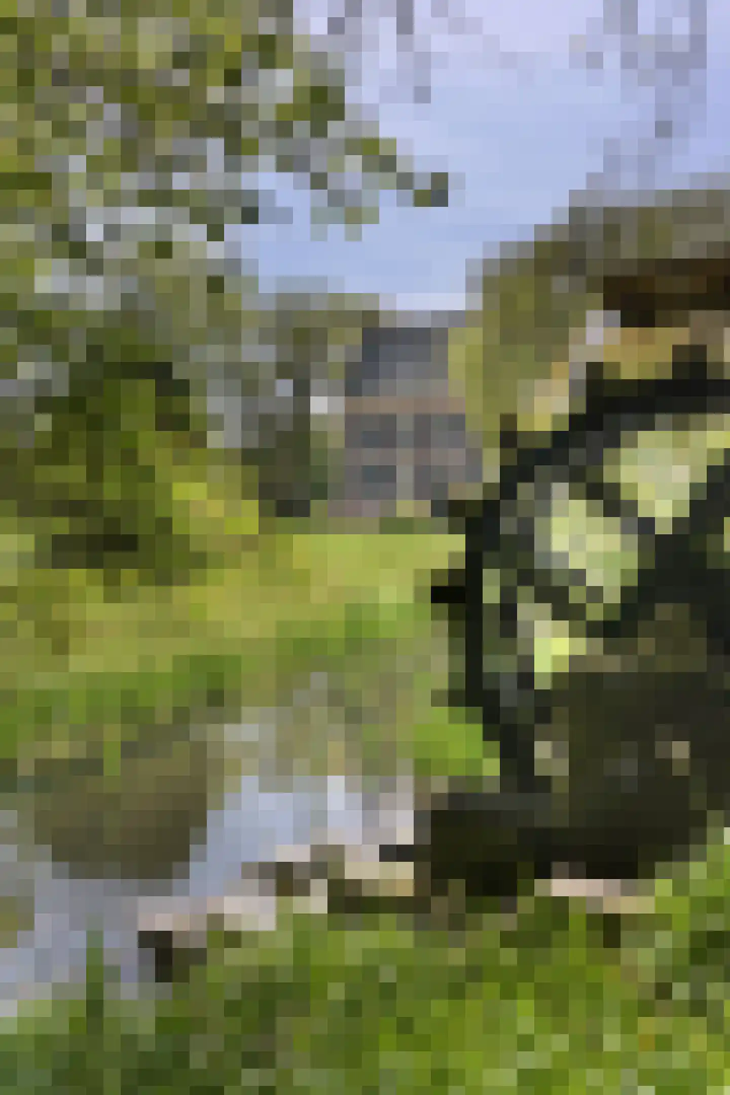 Vinkwijk 4 Zeddam thumbnail 32