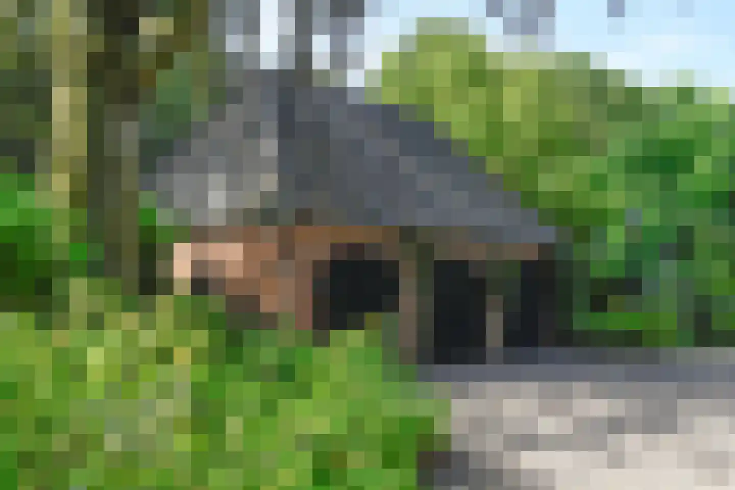 Vinkwijk 4 Zeddam thumbnail 4