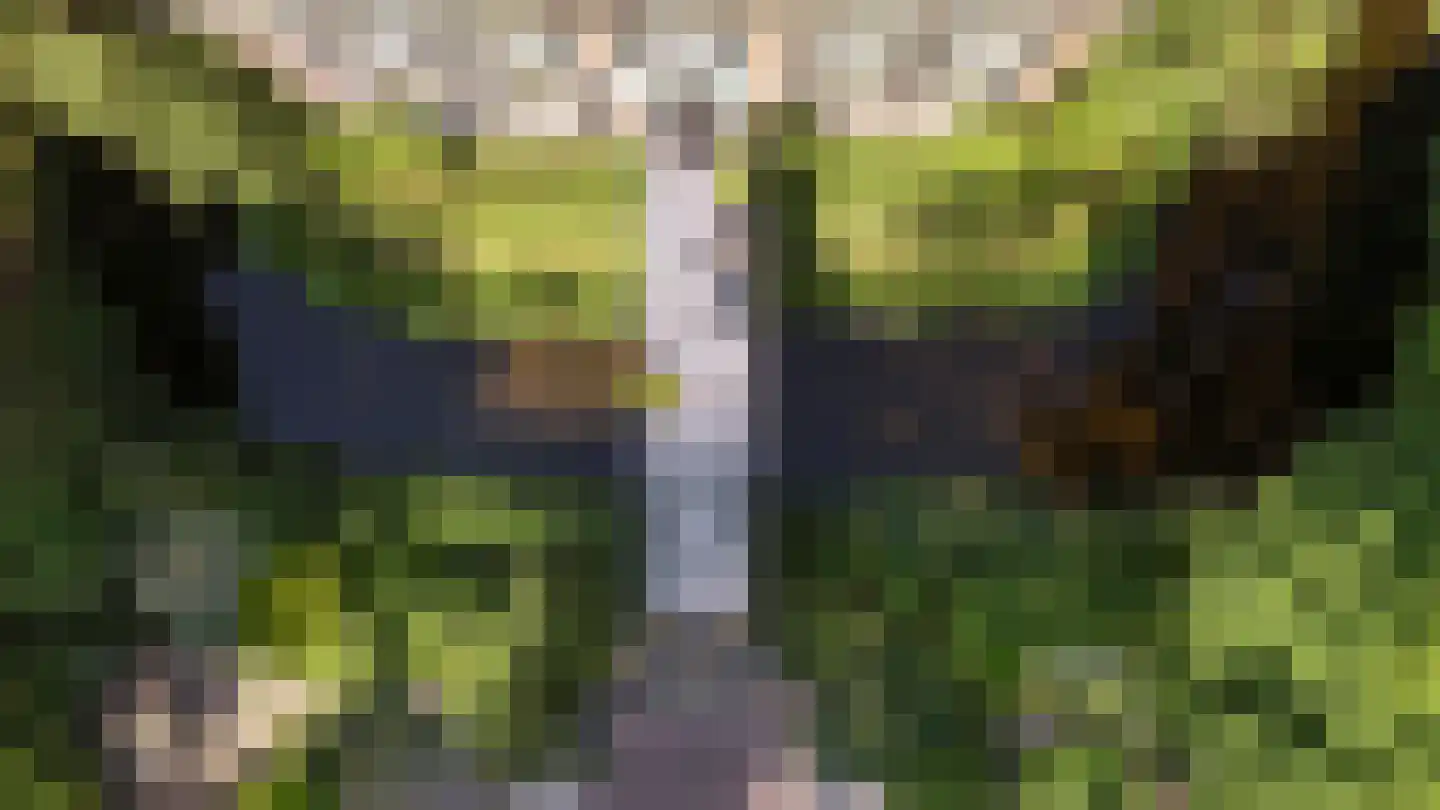 Vinkwijk 4 Zeddam thumbnail 44