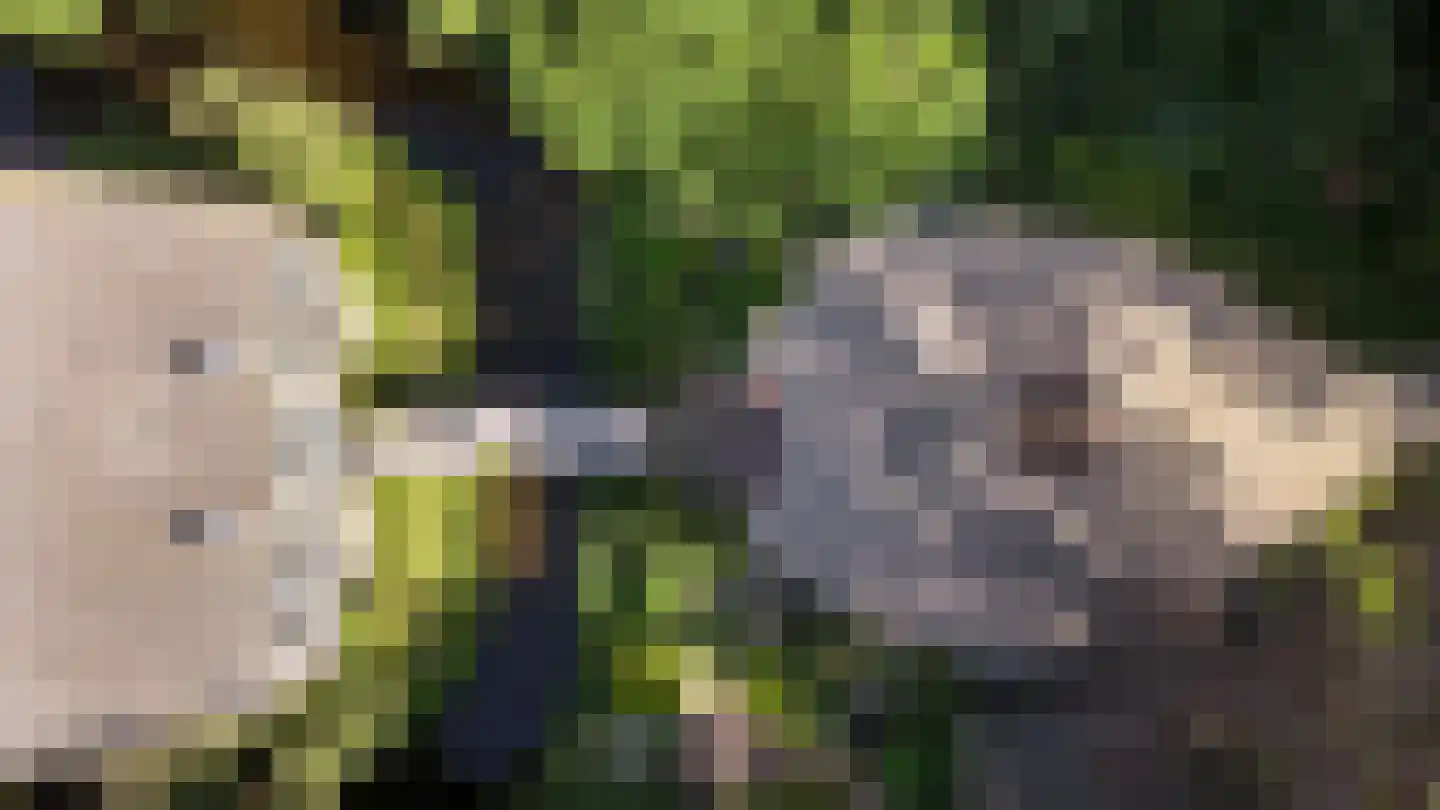 Vinkwijk 4 Zeddam thumbnail 45