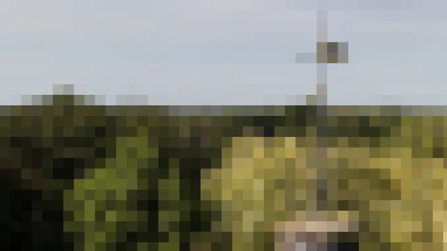 Vinkwijk 4 Zeddam thumbnail 48