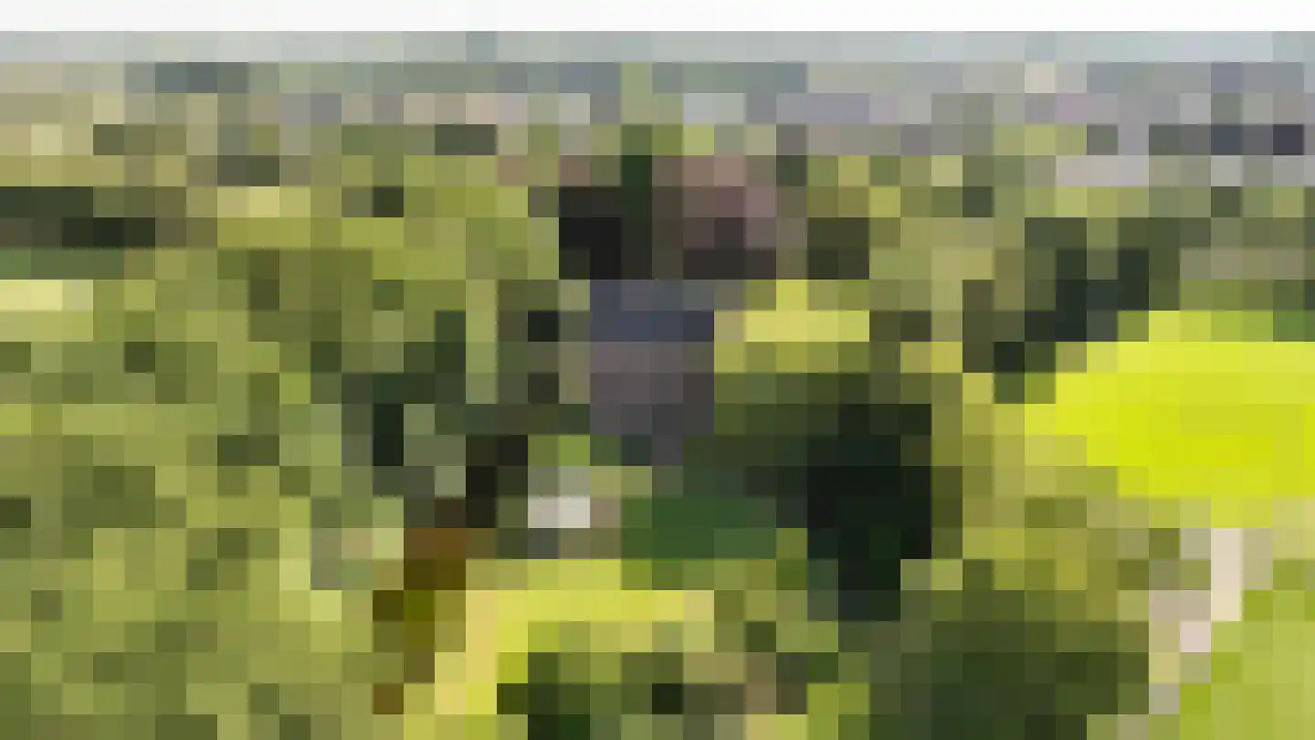 Vinkwijk 4 Zeddam thumbnail 49