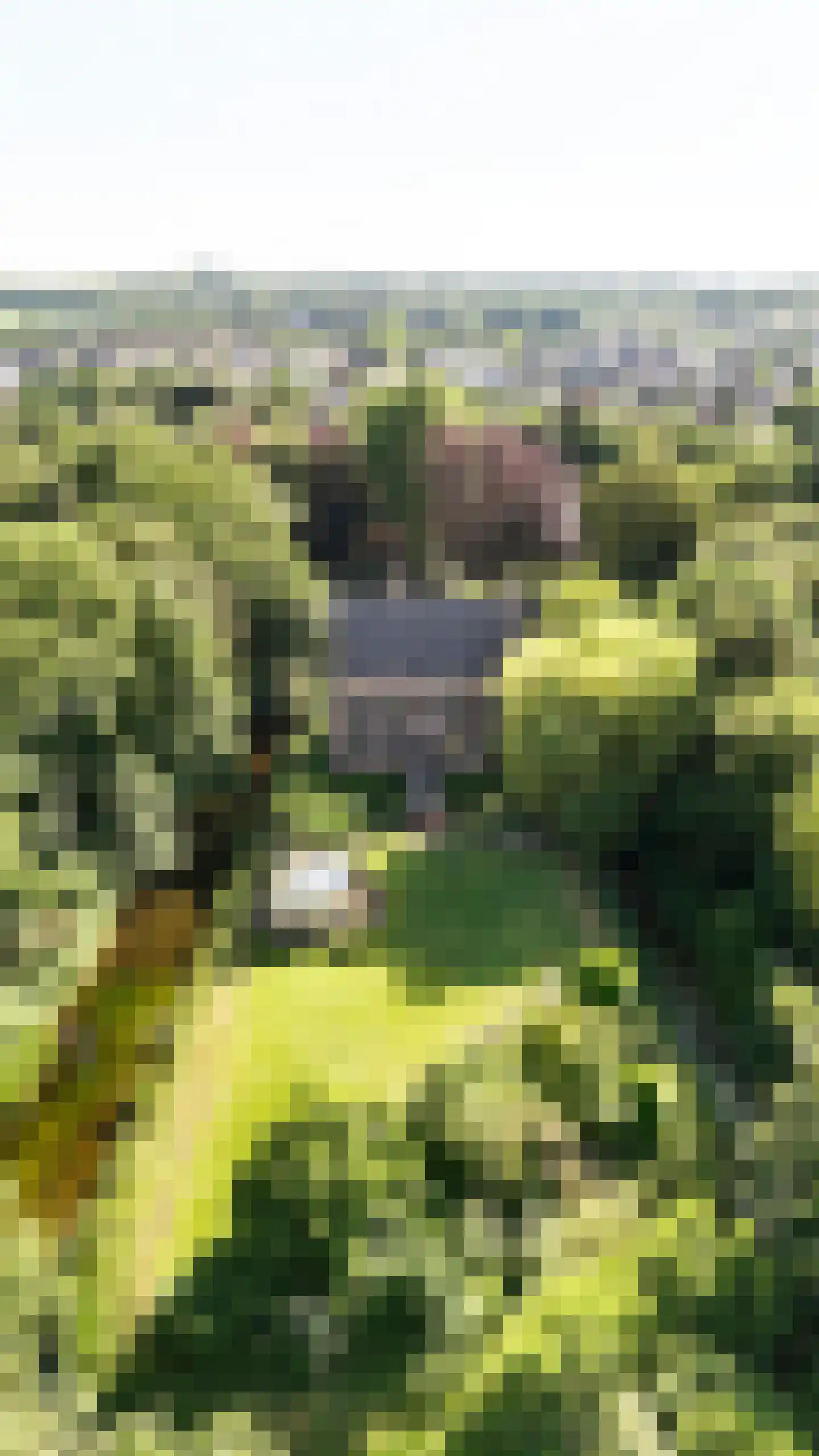 Vinkwijk 4 Zeddam thumbnail 50