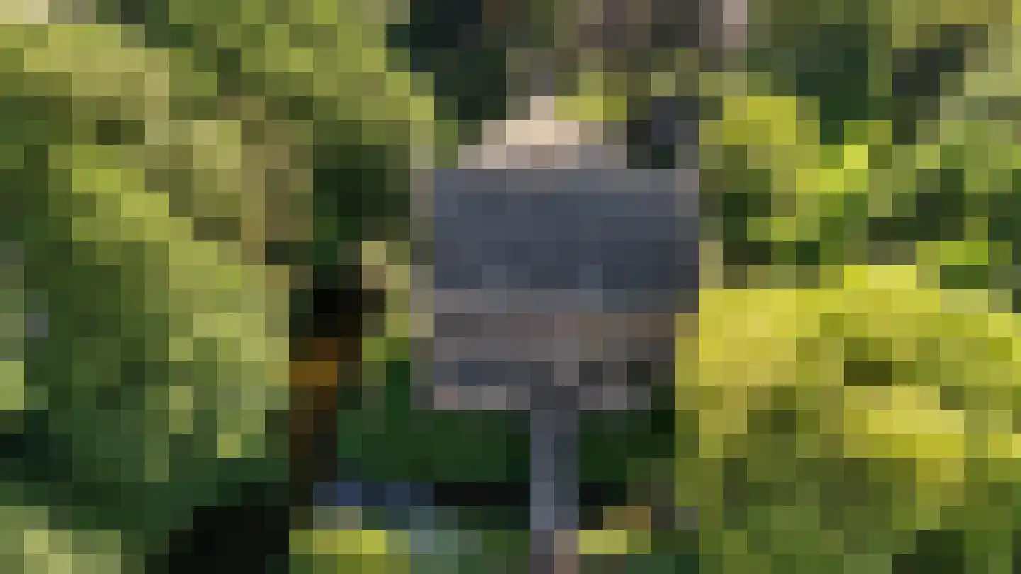 Vinkwijk 4 Zeddam thumbnail 52