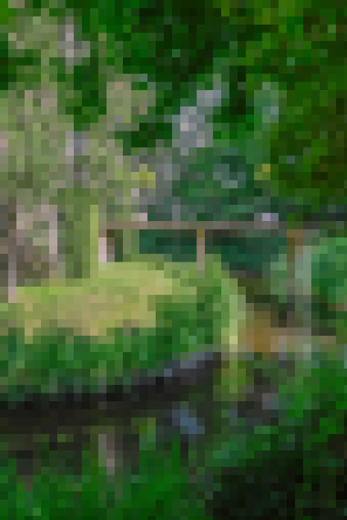 Vinkwijk 4 Zeddam thumbnail 54