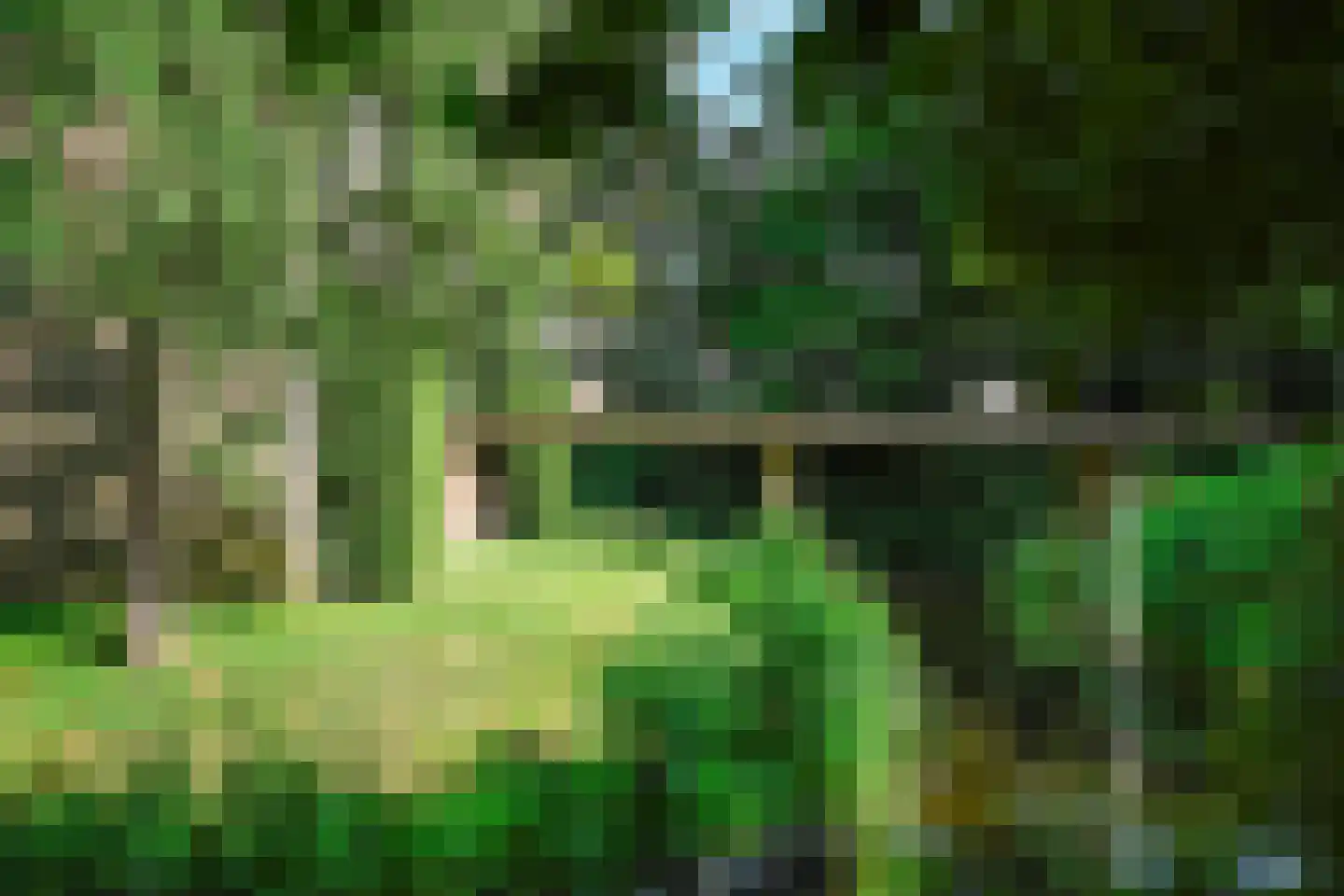 Vinkwijk 4 Zeddam thumbnail 55