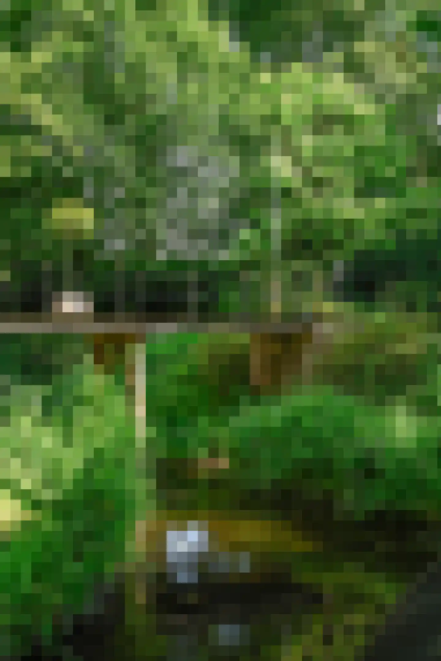 Vinkwijk 4 Zeddam thumbnail 56
