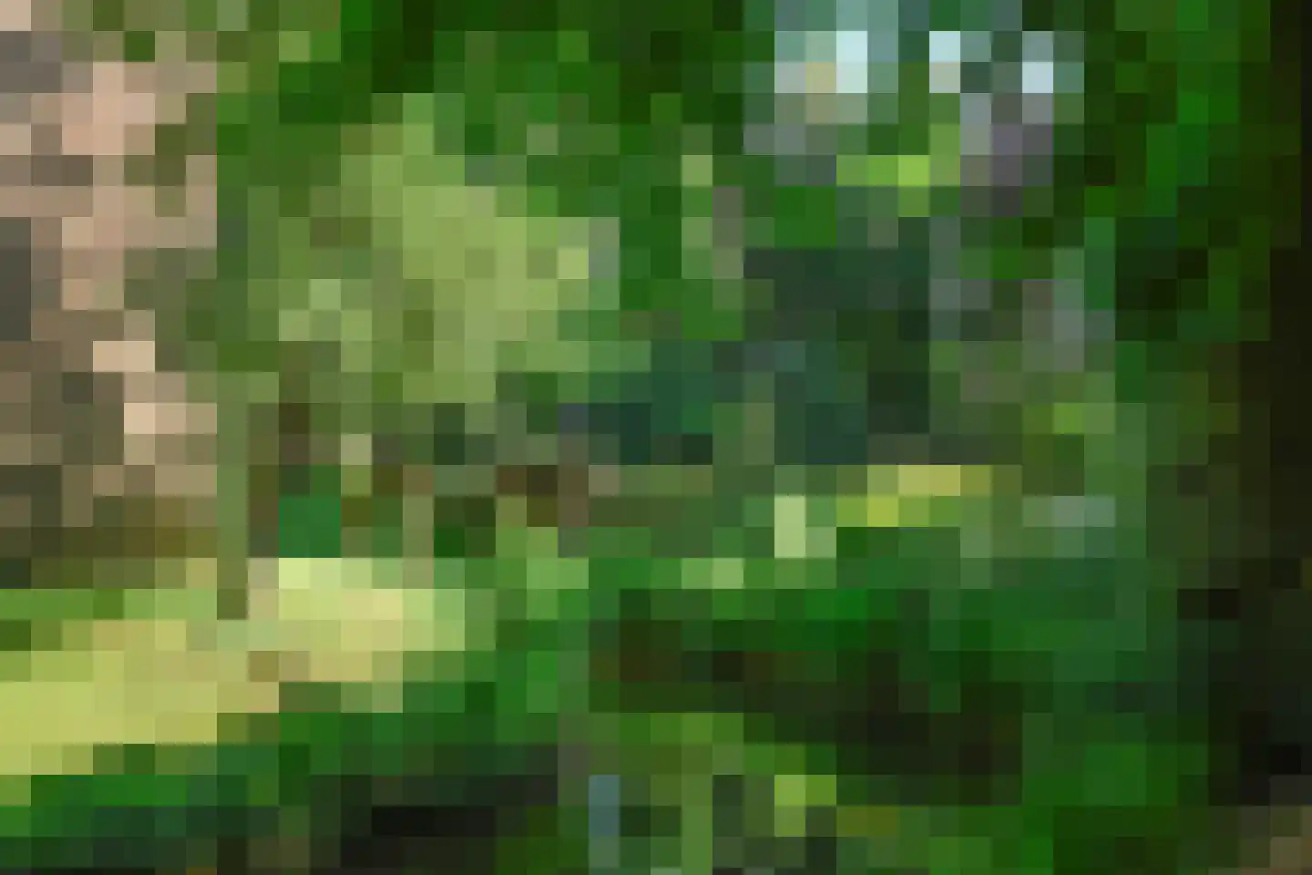 Vinkwijk 4 Zeddam thumbnail 57