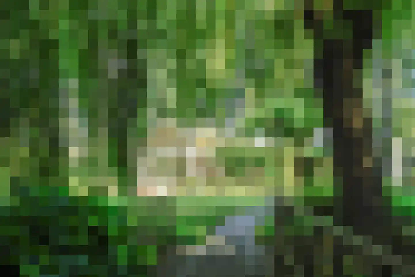 Vinkwijk 4 Zeddam thumbnail 58
