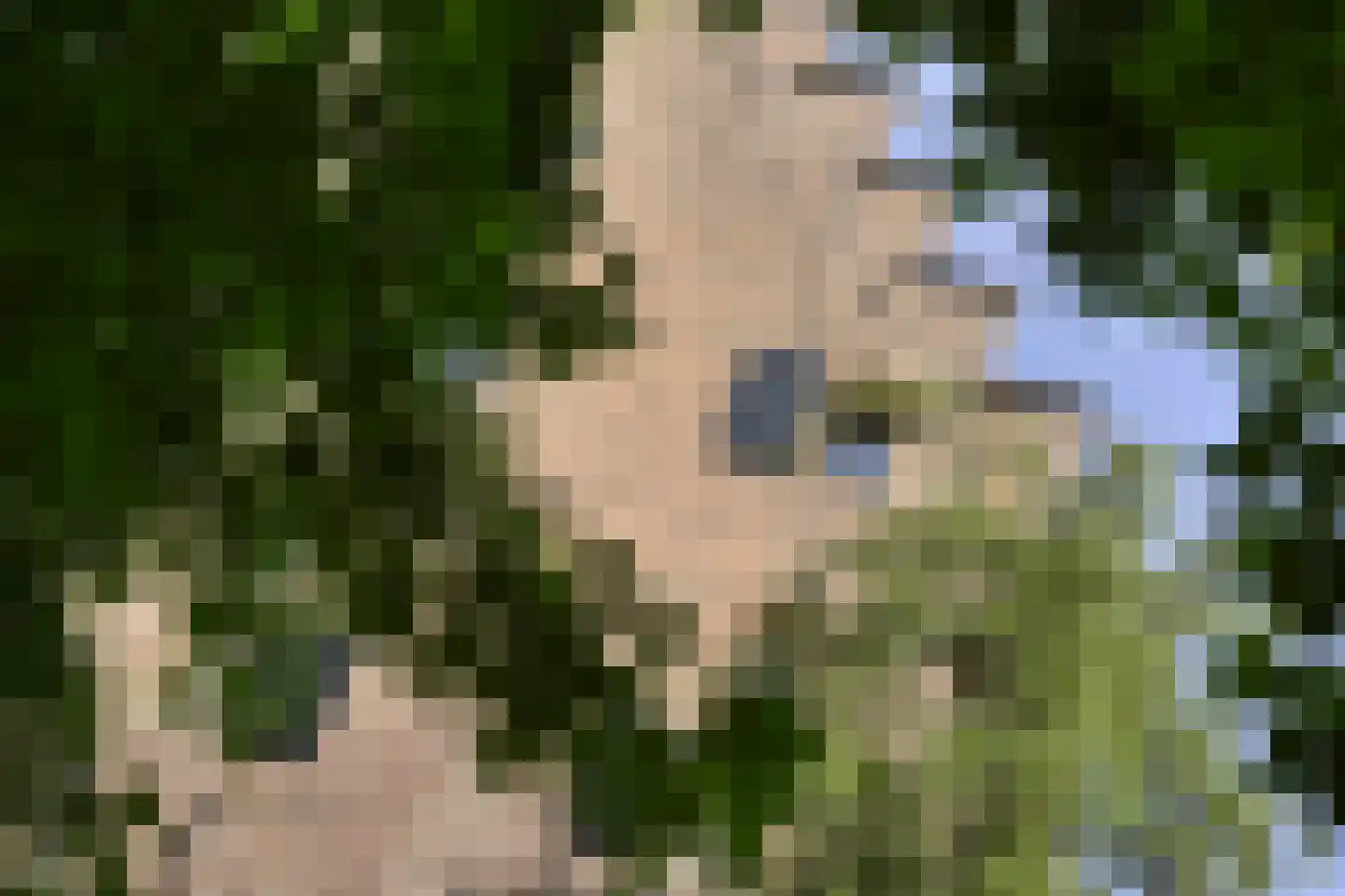 Vinkwijk 4 Zeddam thumbnail 60