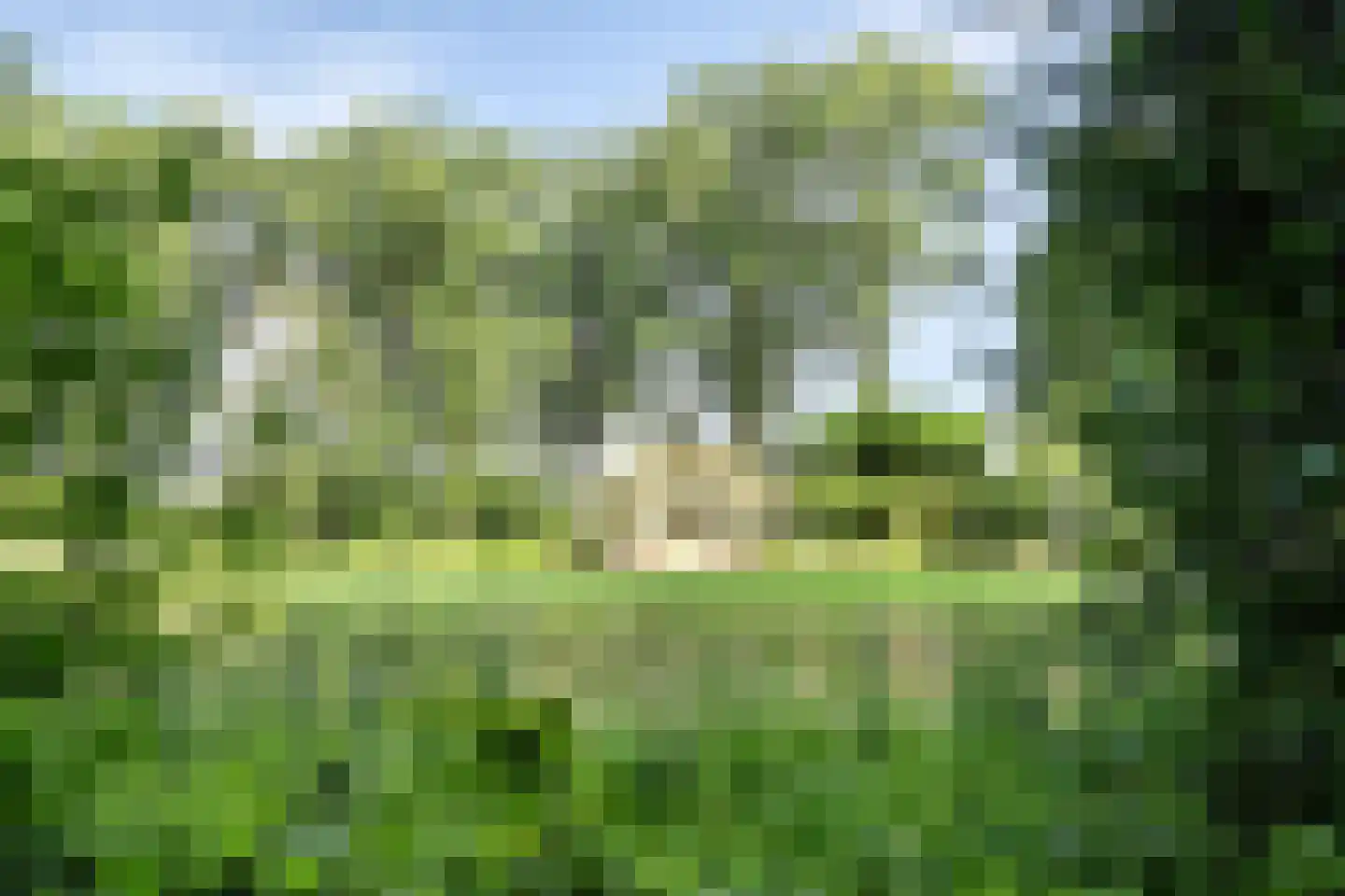 Vinkwijk 4 Zeddam thumbnail 61