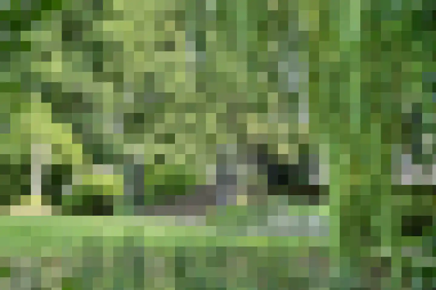 Vinkwijk 4 Zeddam thumbnail 62