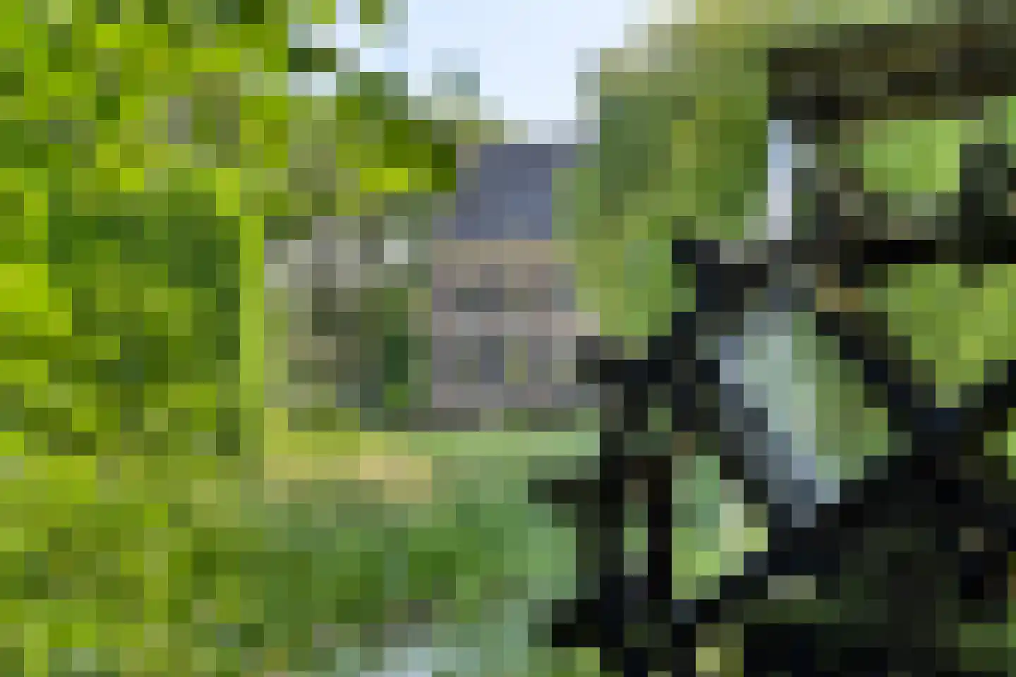 Vinkwijk 4 Zeddam thumbnail 63