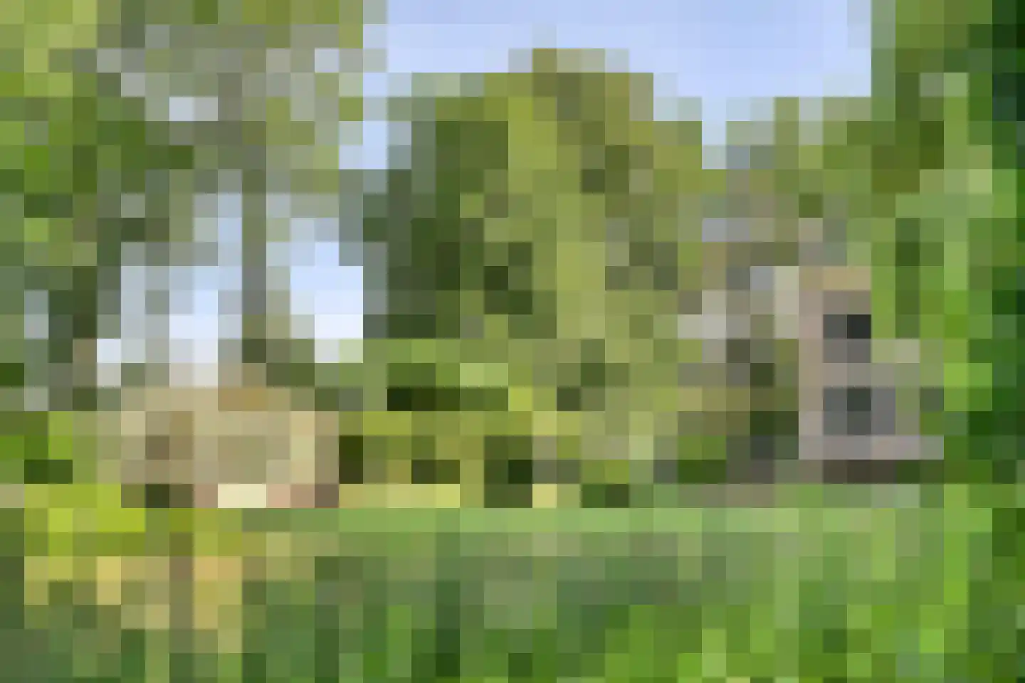 Vinkwijk 4 Zeddam thumbnail 64