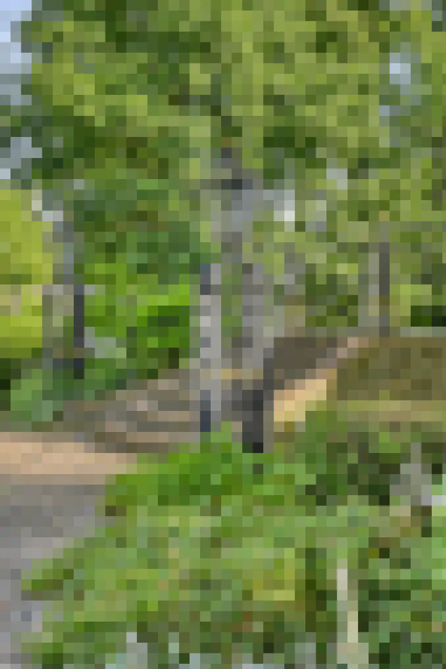 Vinkwijk 4 Zeddam thumbnail 66