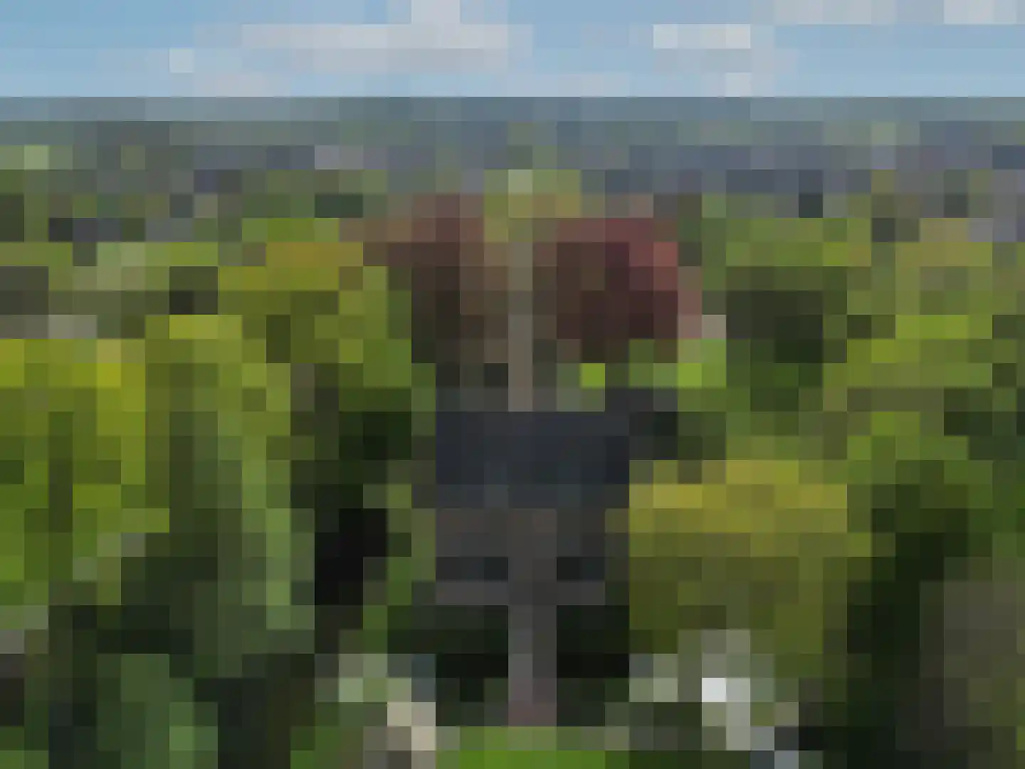 Vinkwijk 4 Zeddam thumbnail 69