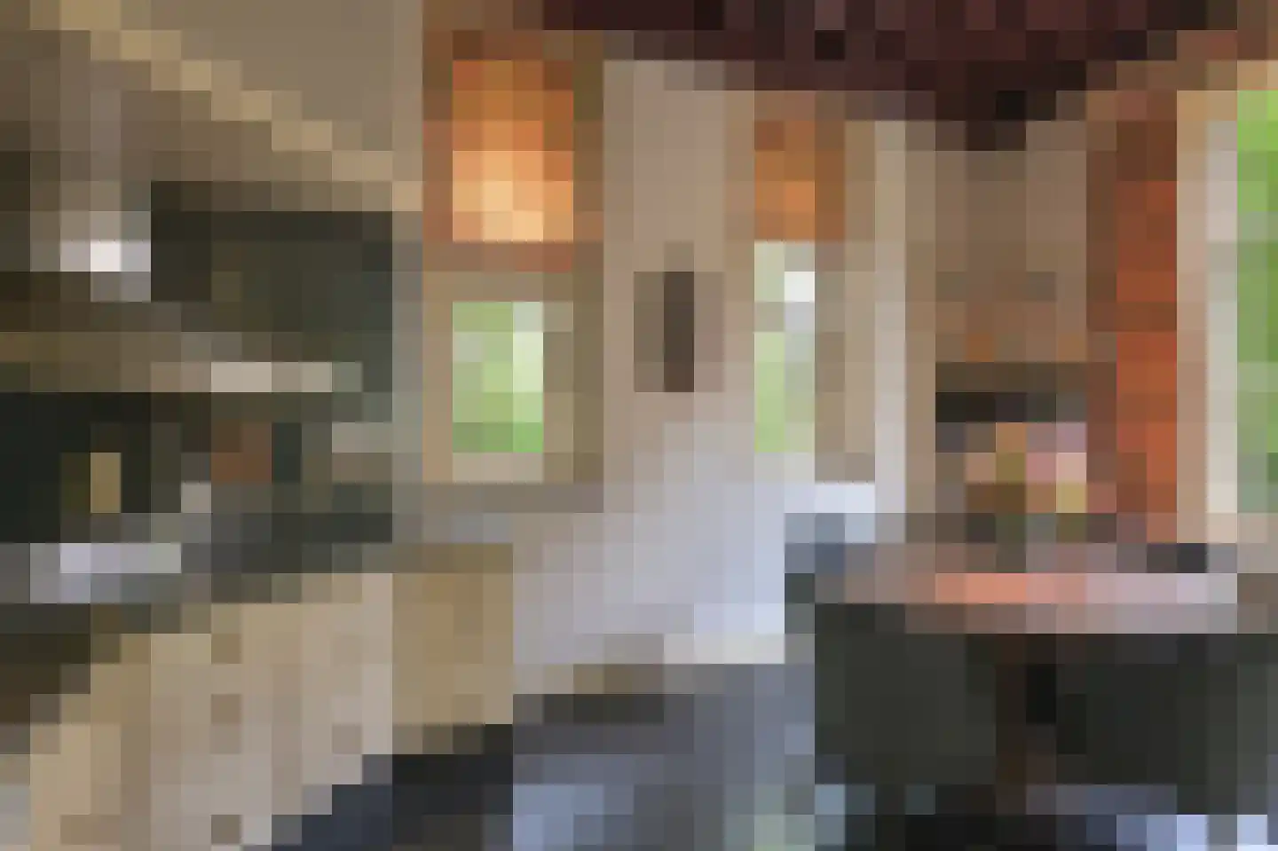 Vinkwijk 4 Zeddam thumbnail 7