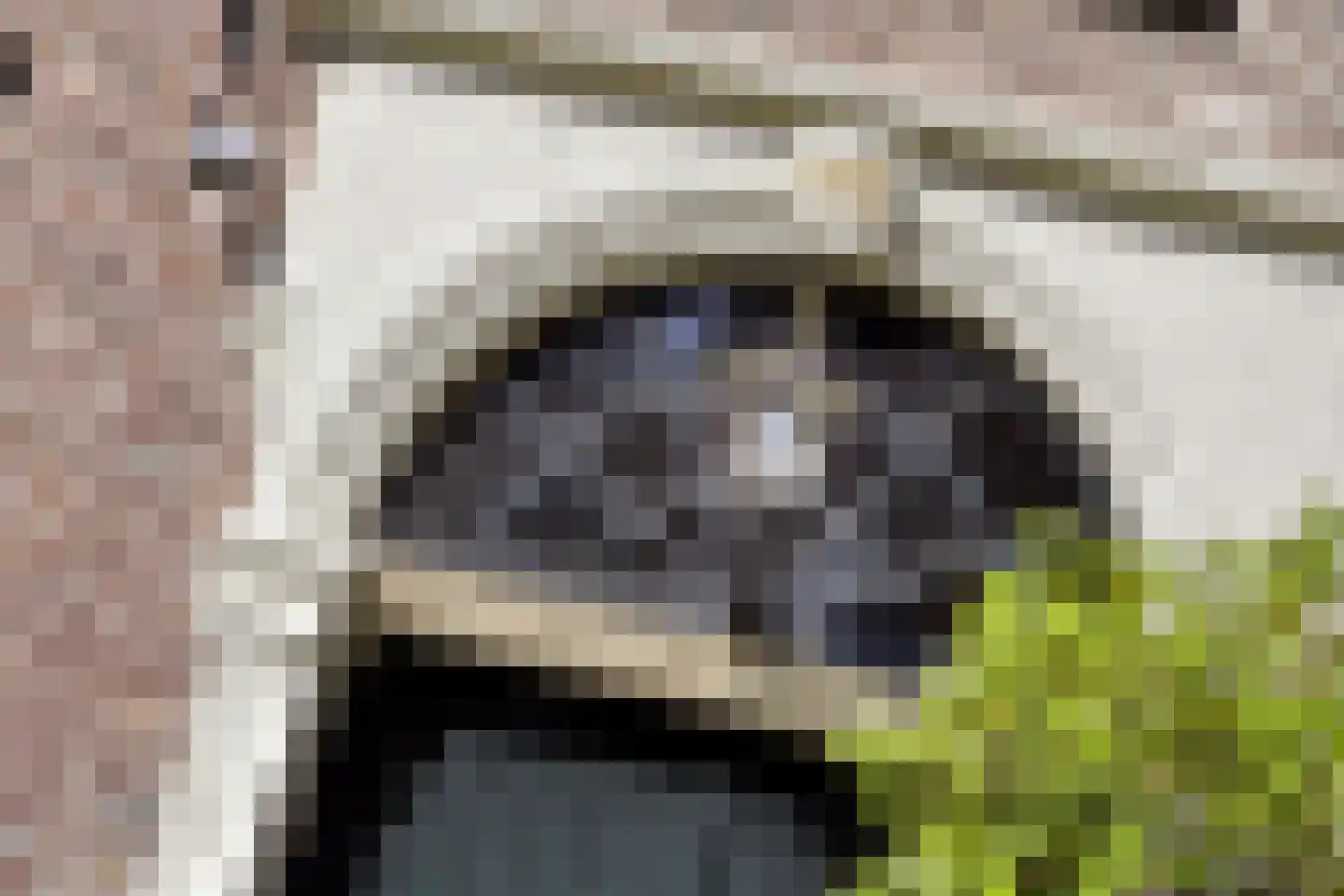 Vinkwijk 4 Zeddam thumbnail 7
