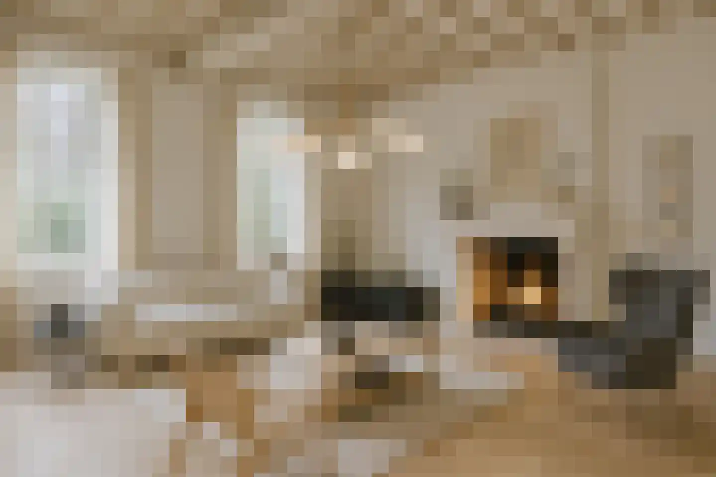Vinkwijk 4 Zeddam thumbnail 71