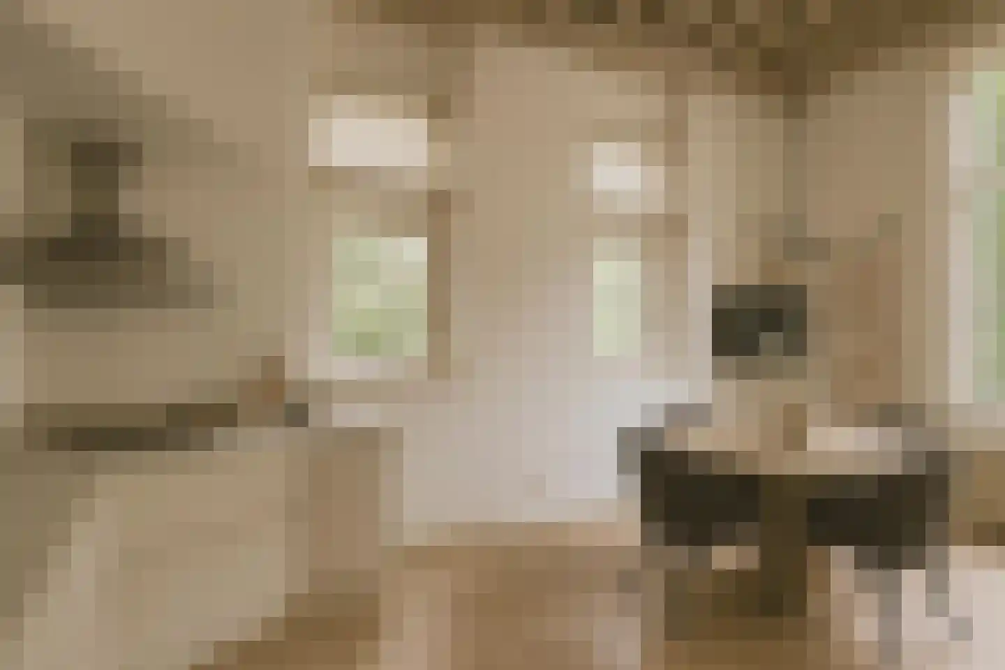 Vinkwijk 4 Zeddam thumbnail 72