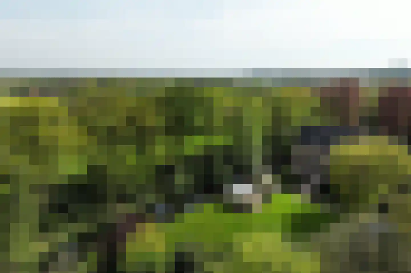 Vinkwijk 4 Zeddam thumbnail 78