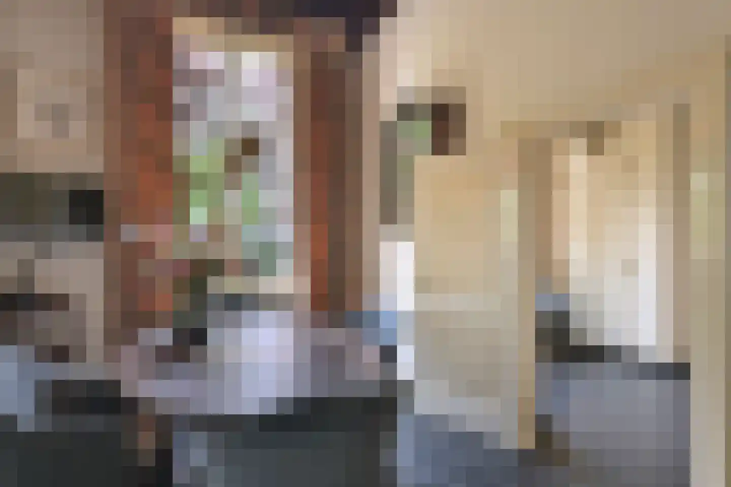 Vinkwijk 4 Zeddam thumbnail 8