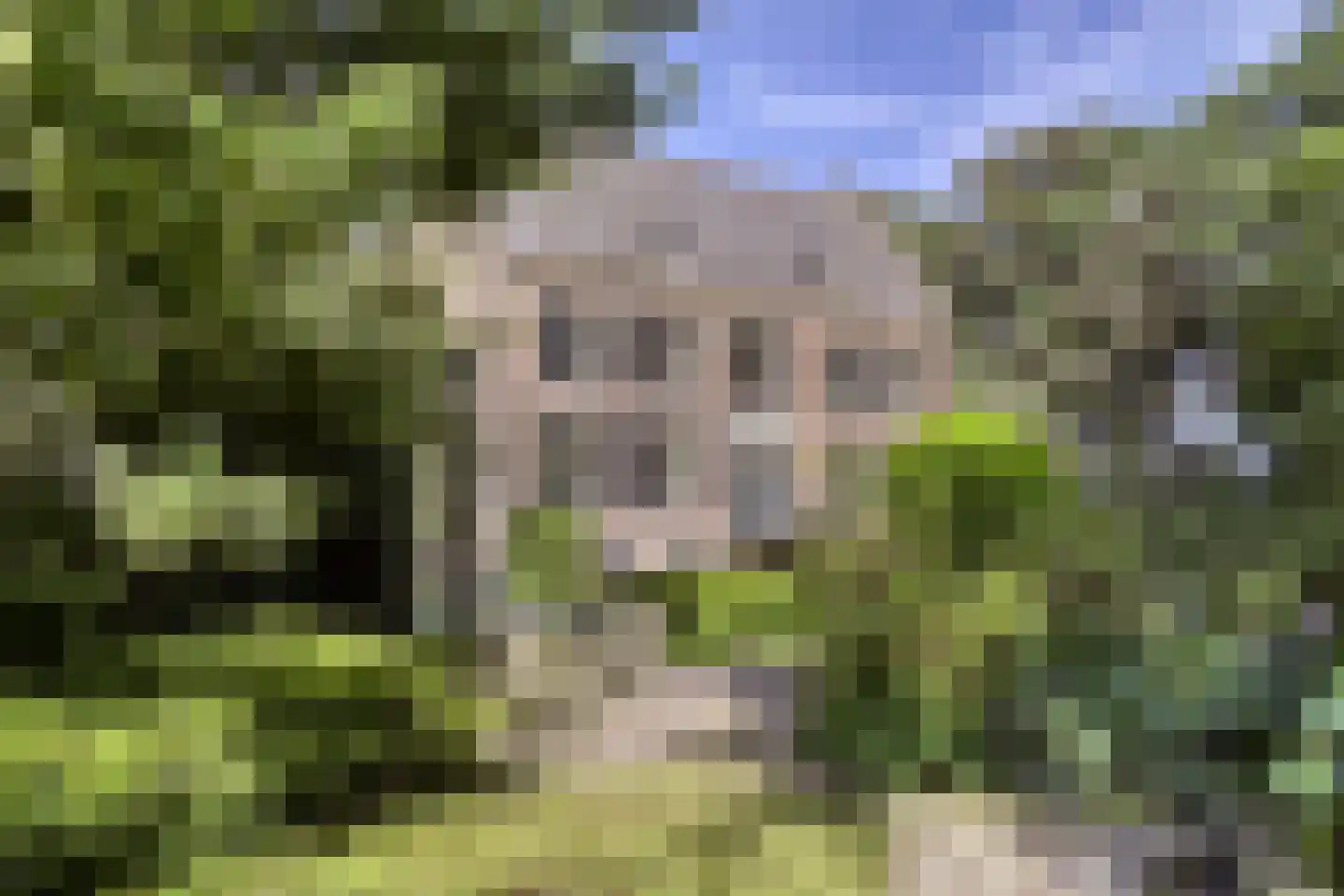 Vinkwijk 4 Zeddam thumbnail 8