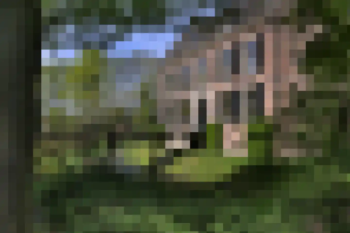 Vinkwijk 4 Zeddam thumbnail 82