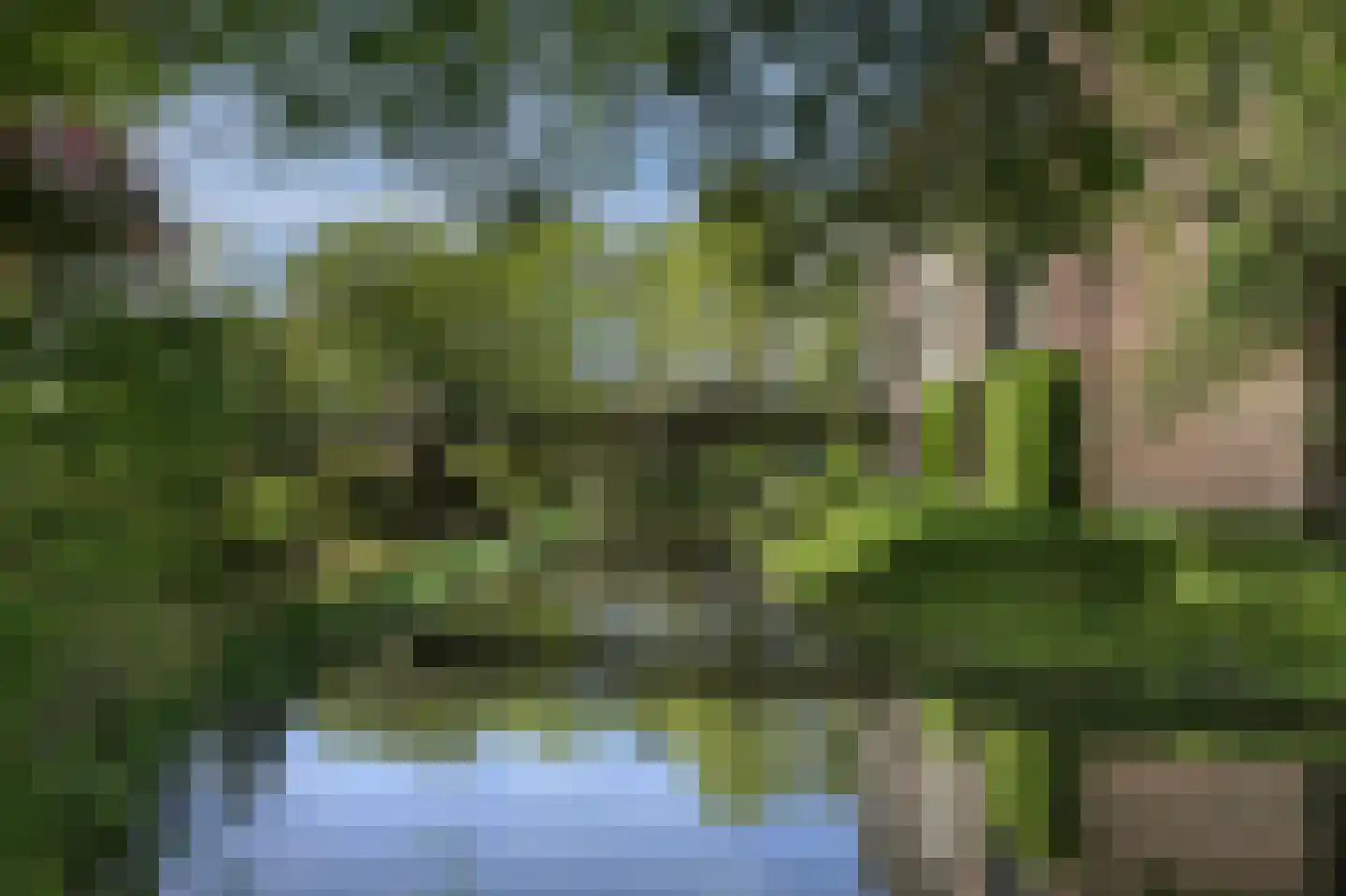 Vinkwijk 4 Zeddam thumbnail 83