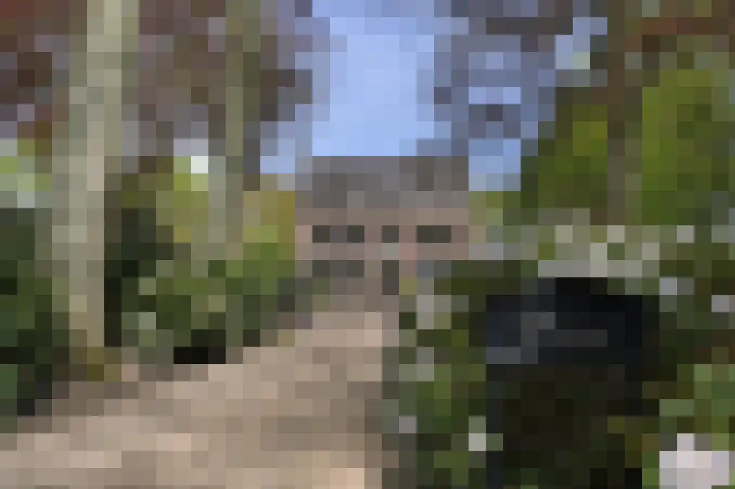 Vinkwijk 4 Zeddam thumbnail 84
