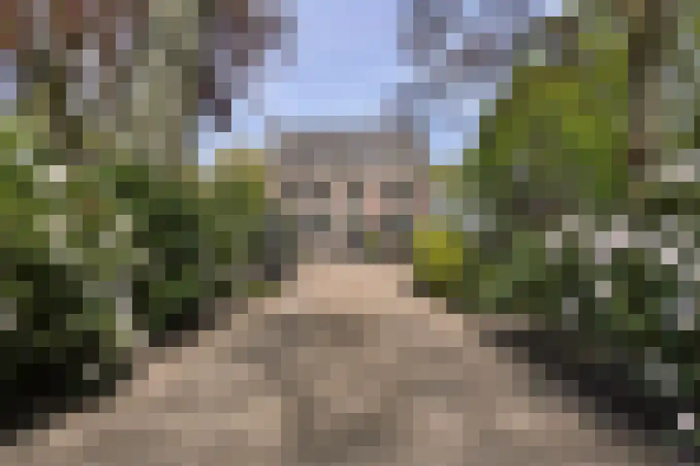 Vinkwijk 4 Zeddam thumbnail 85