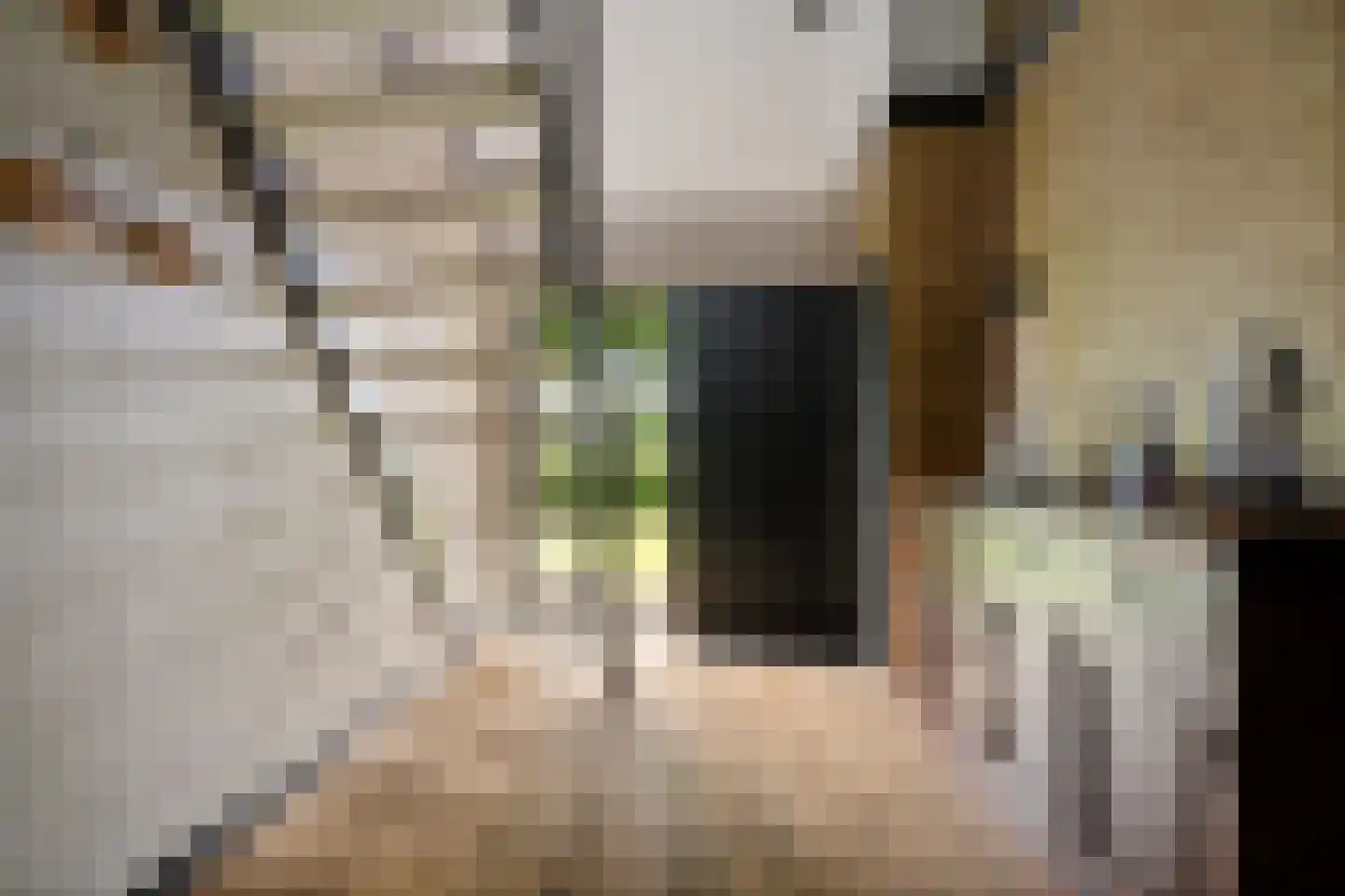 Vinkwijk 9 Zeddam thumbnail 10