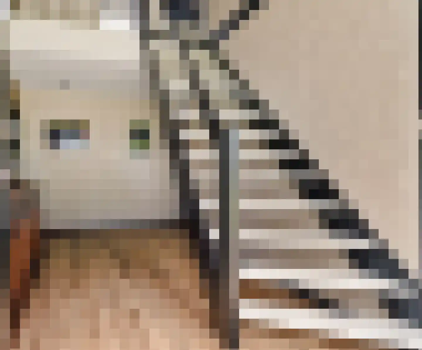 Vinkwijk 9 Zeddam thumbnail 11
