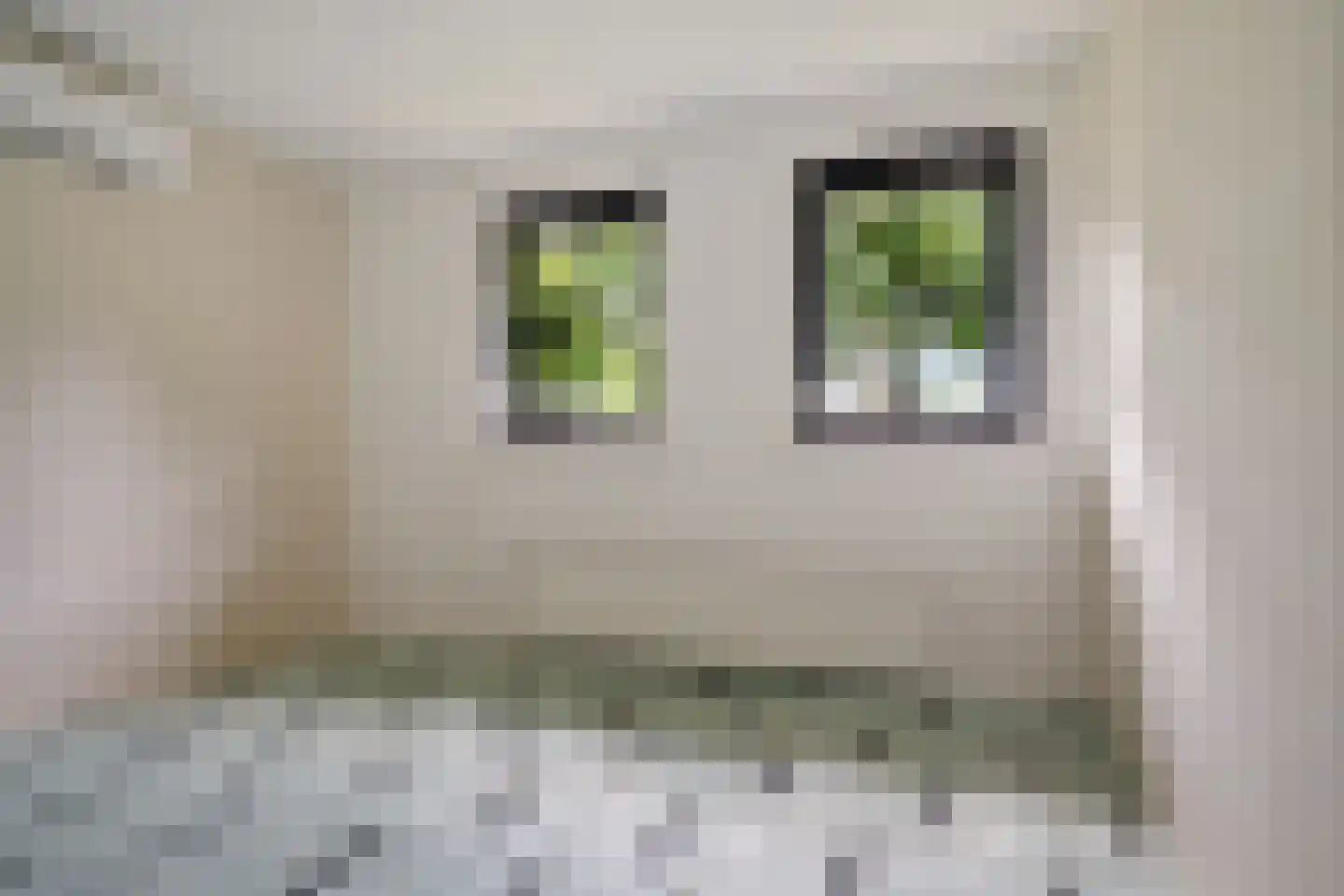 Vinkwijk 9 Zeddam thumbnail 14