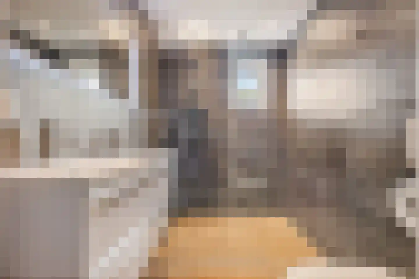 Vinkwijk 9 Zeddam thumbnail 16
