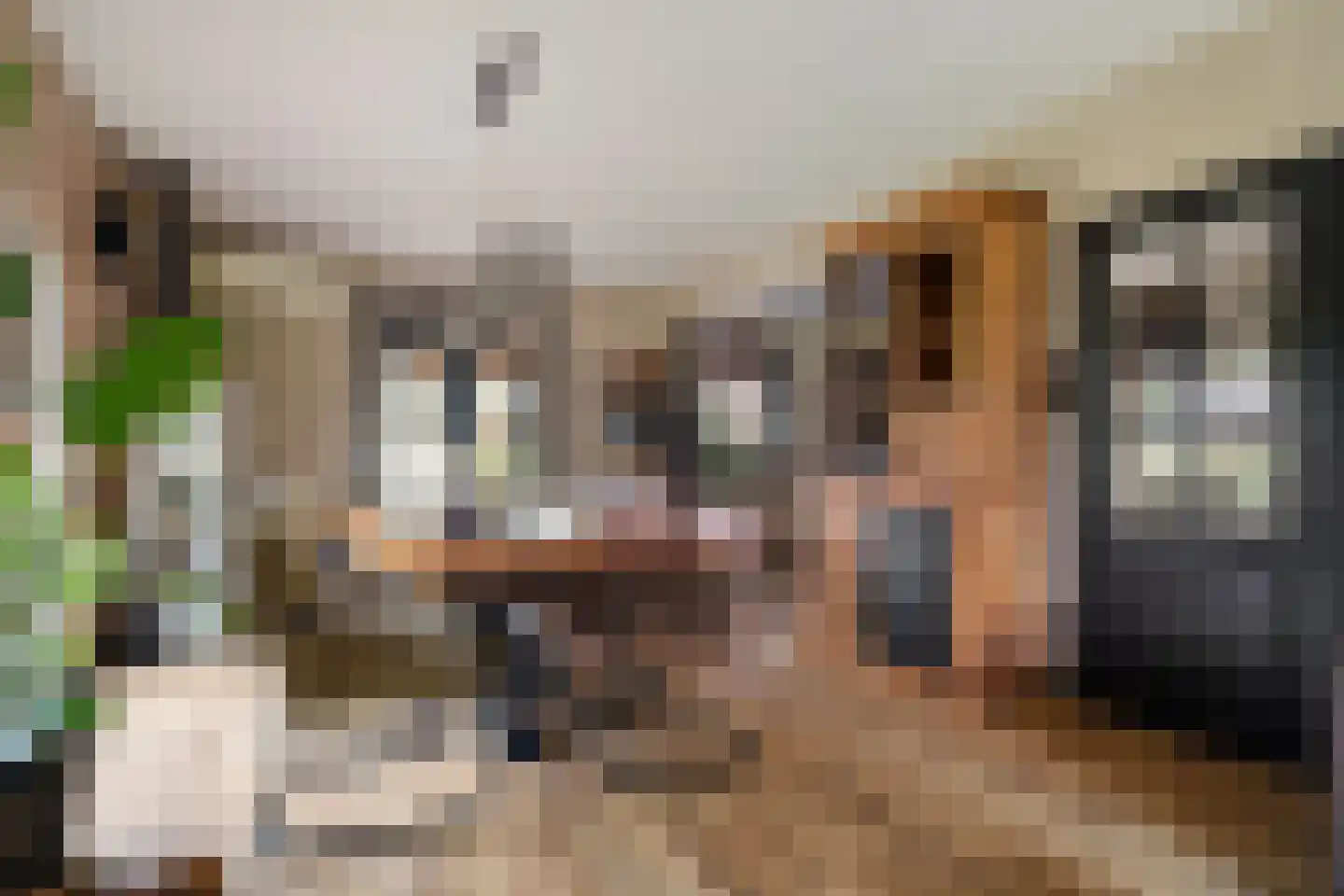 Vinkwijk 9 Zeddam thumbnail 21