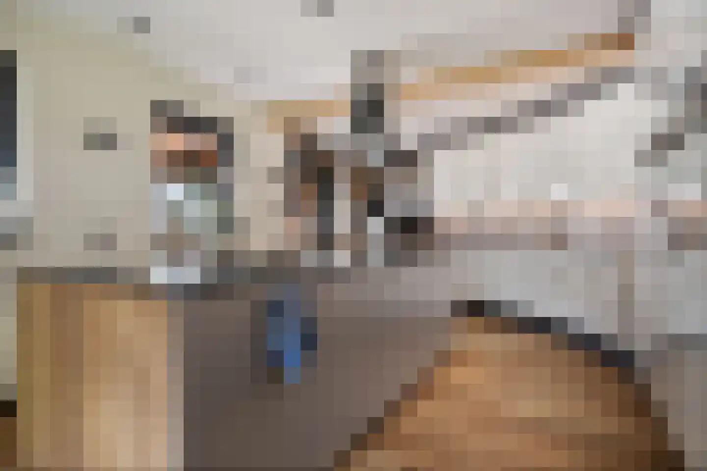 Vinkwijk 9 Zeddam thumbnail 24